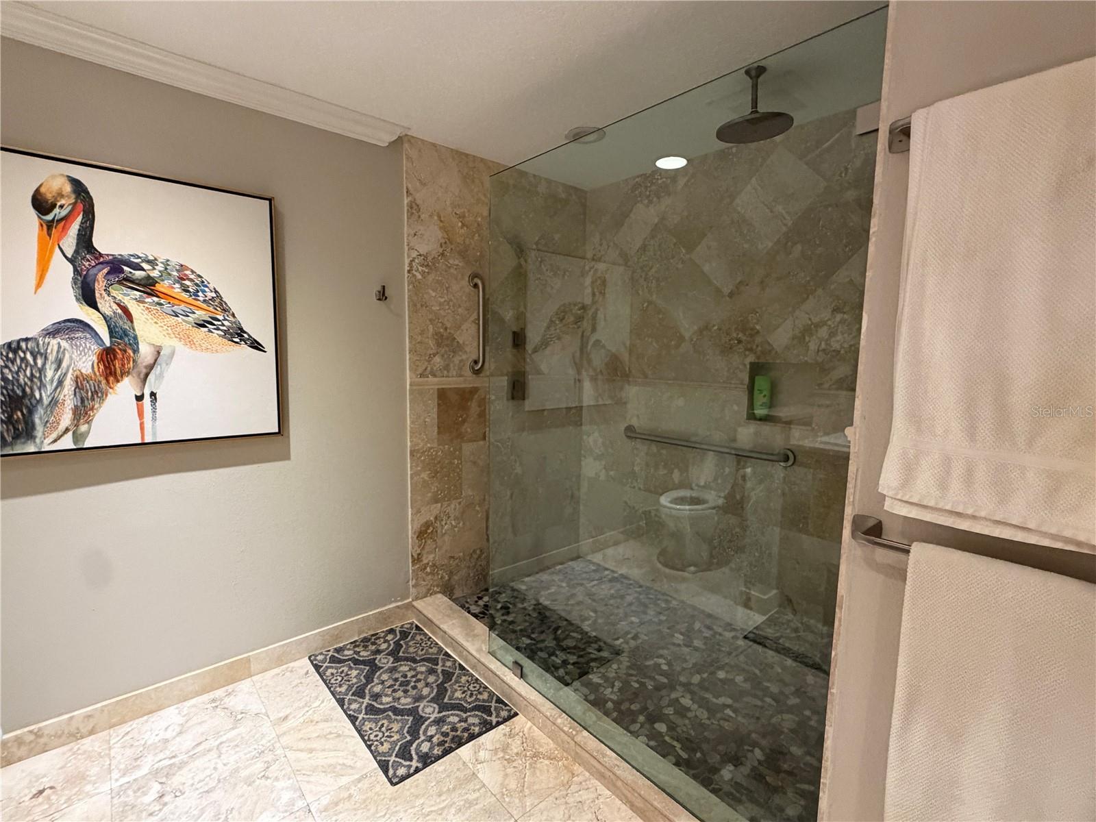 Primary bath shower