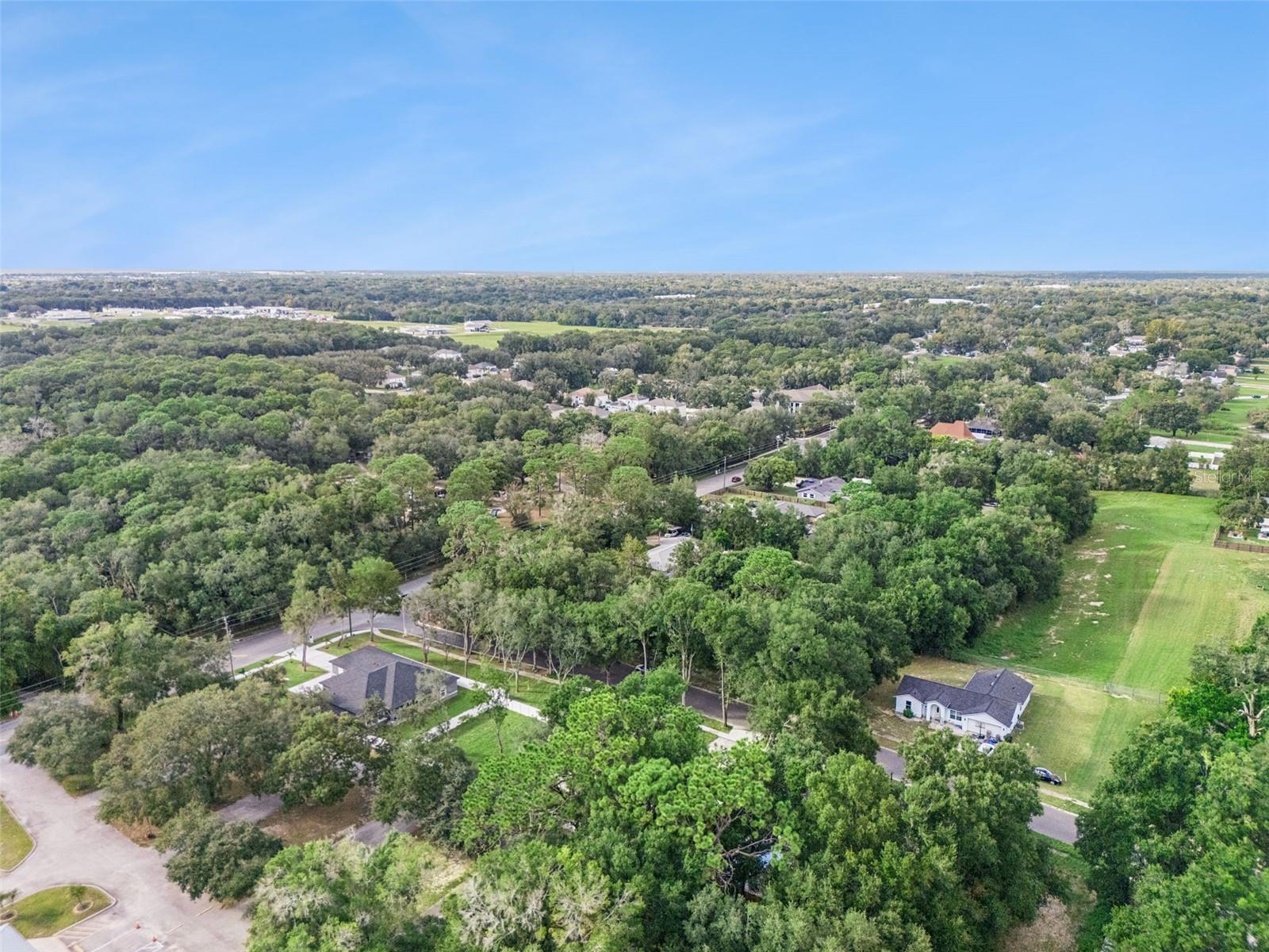 1110 DUNBRIDGE STREET, Apopka, FL 32703