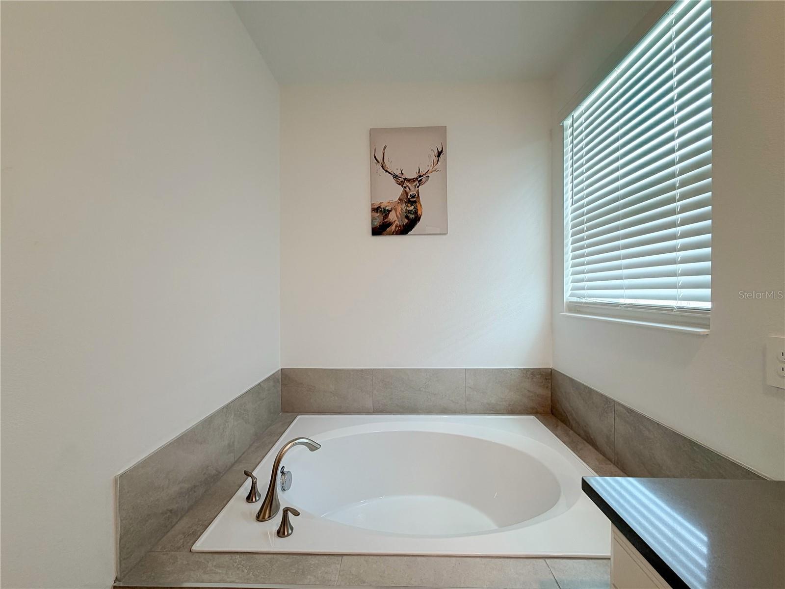 1151 KINGSBARN STREET, Davenport, FL 33896