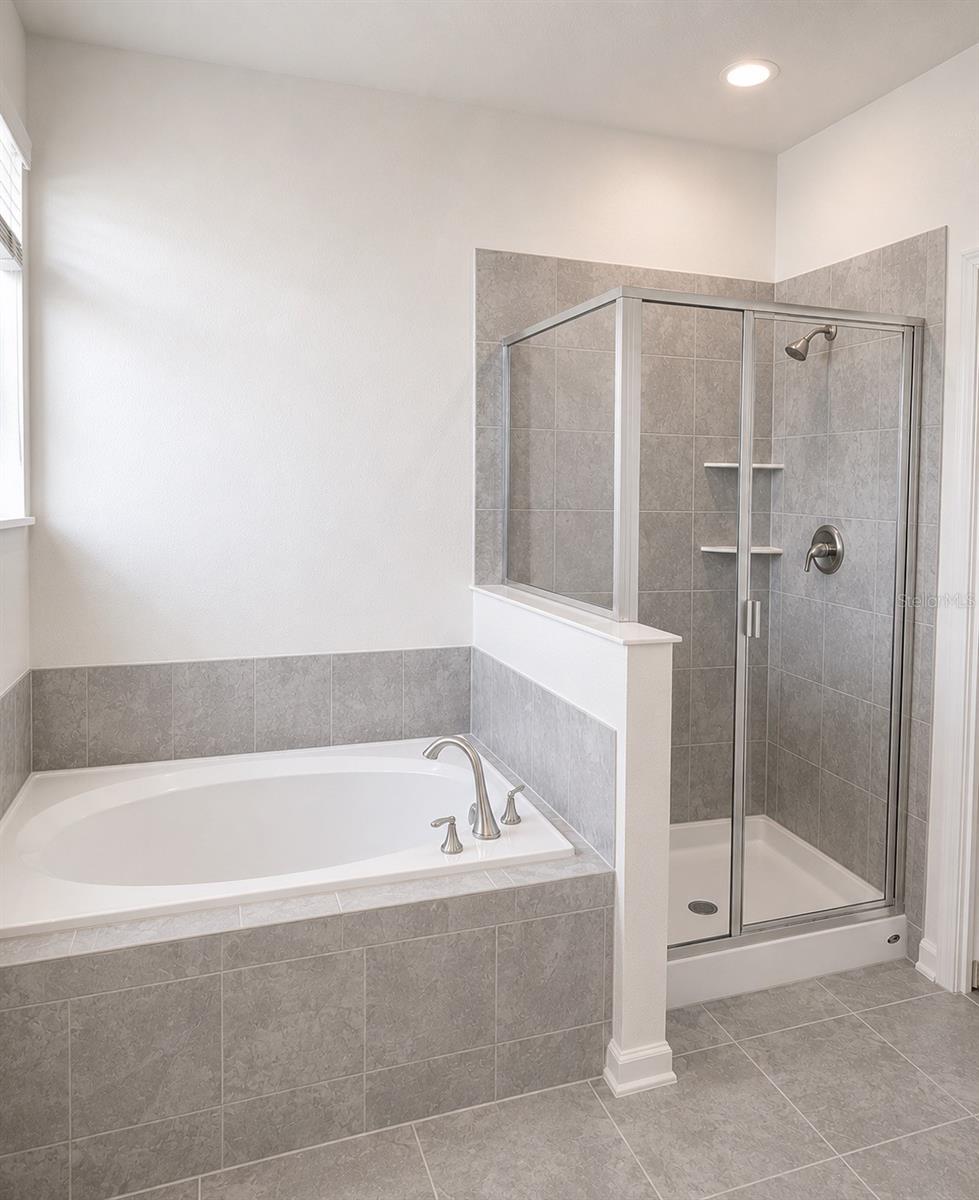Primary Bathroom  Shower and Tub
