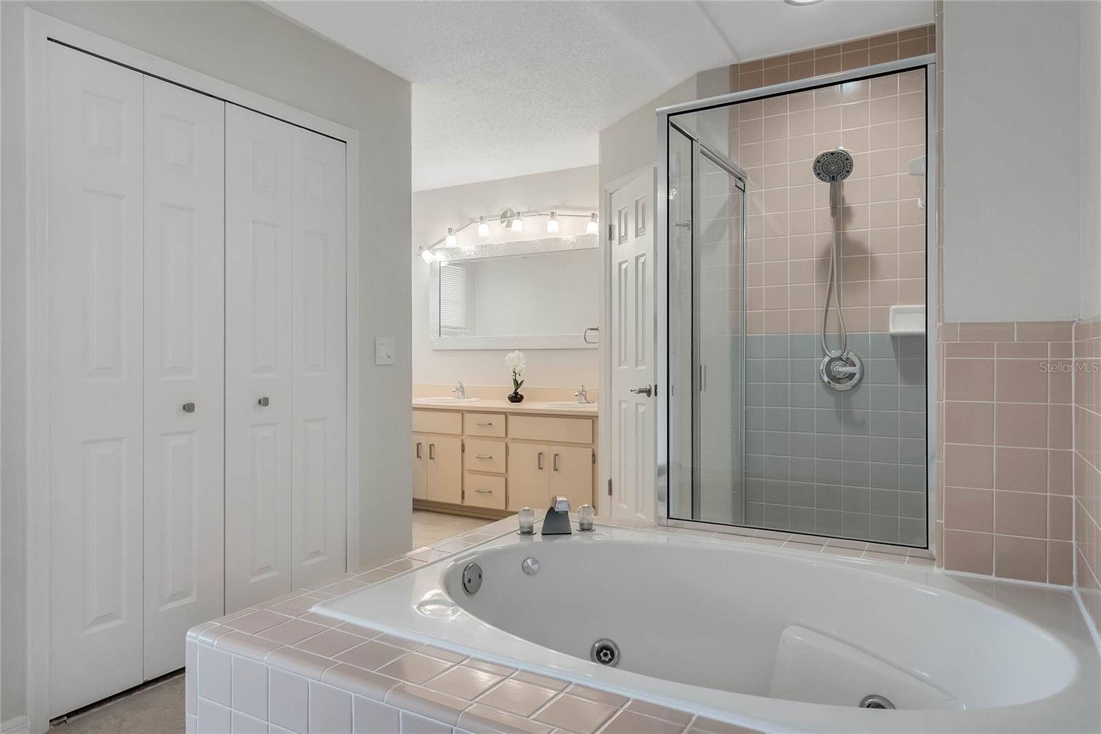 Tub and shower in the primary bathroom
