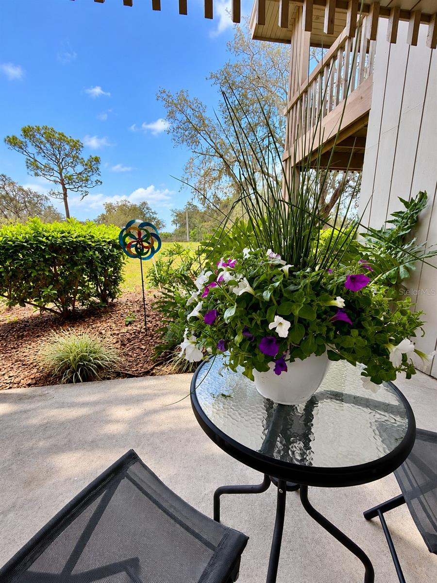 402 CYPRESS DRIVE, #402, Haines City, FL 33844