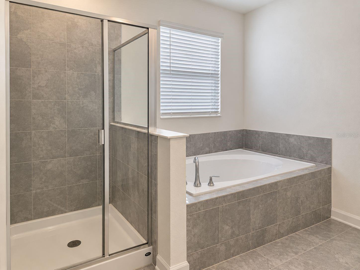 Primary Bathroom Tub and Shower