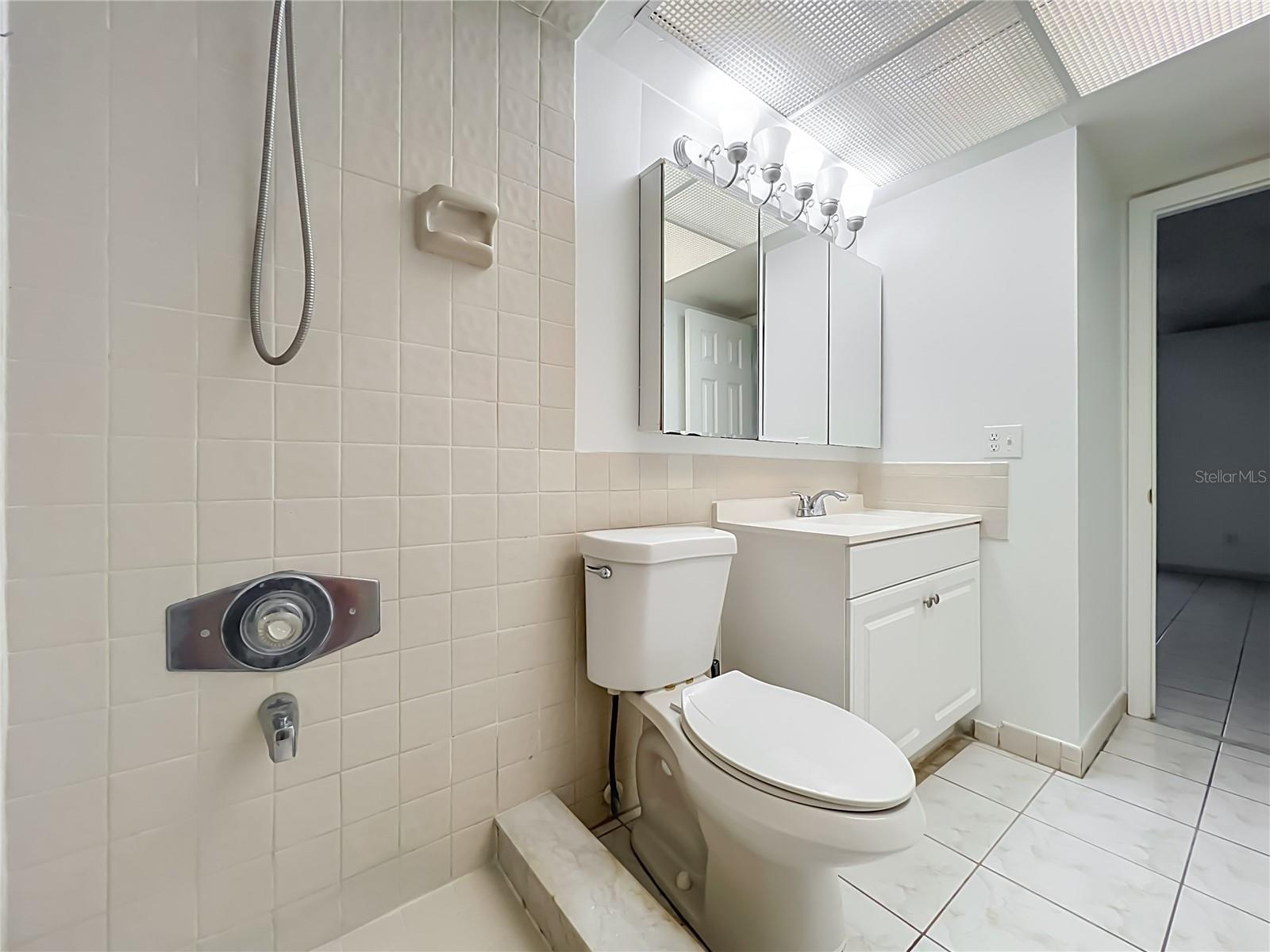 Primary bathroom features a walk-in shower with convenient grab bars.