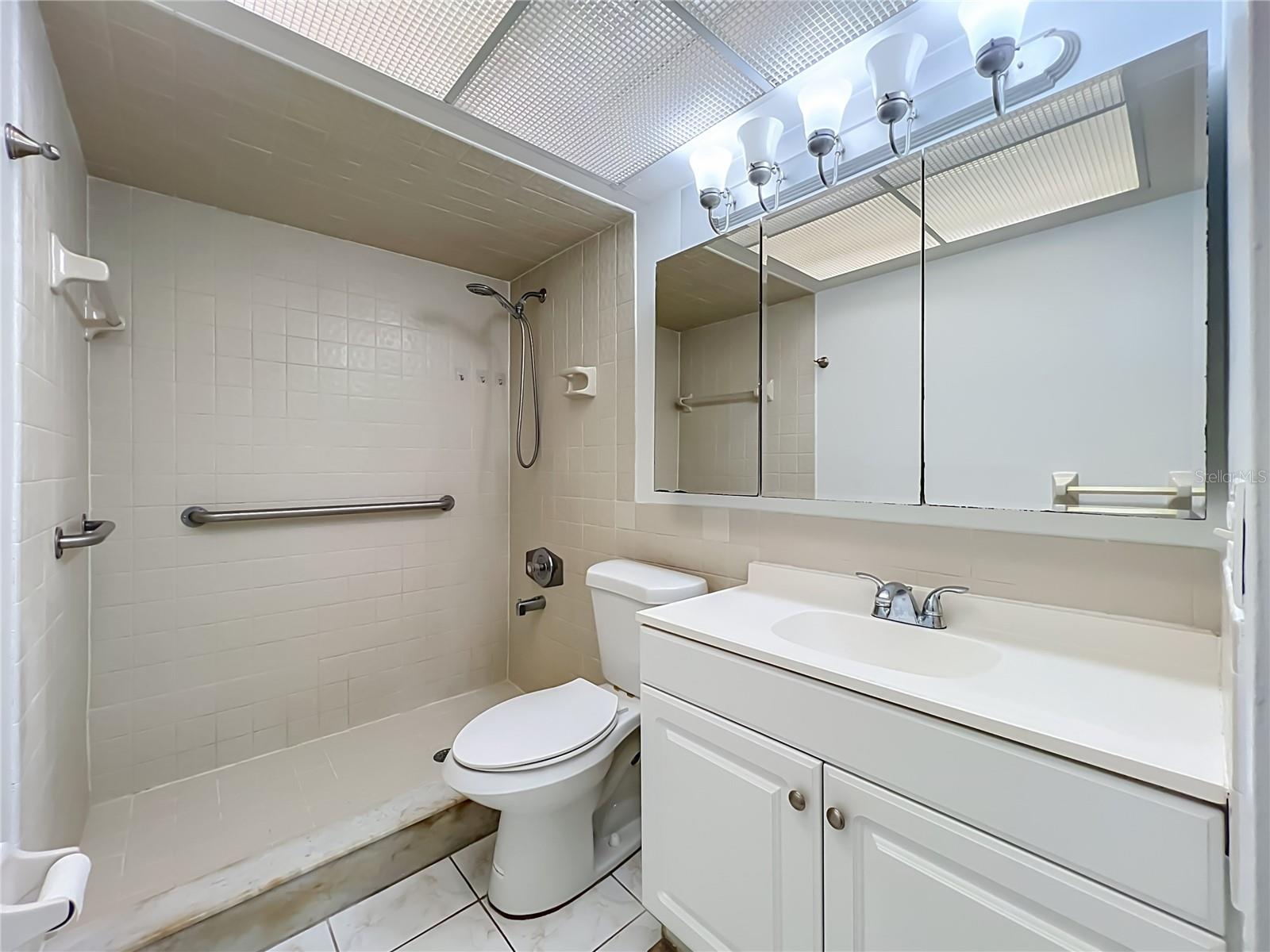 Primary bathroom with shower and generous vanity storage.