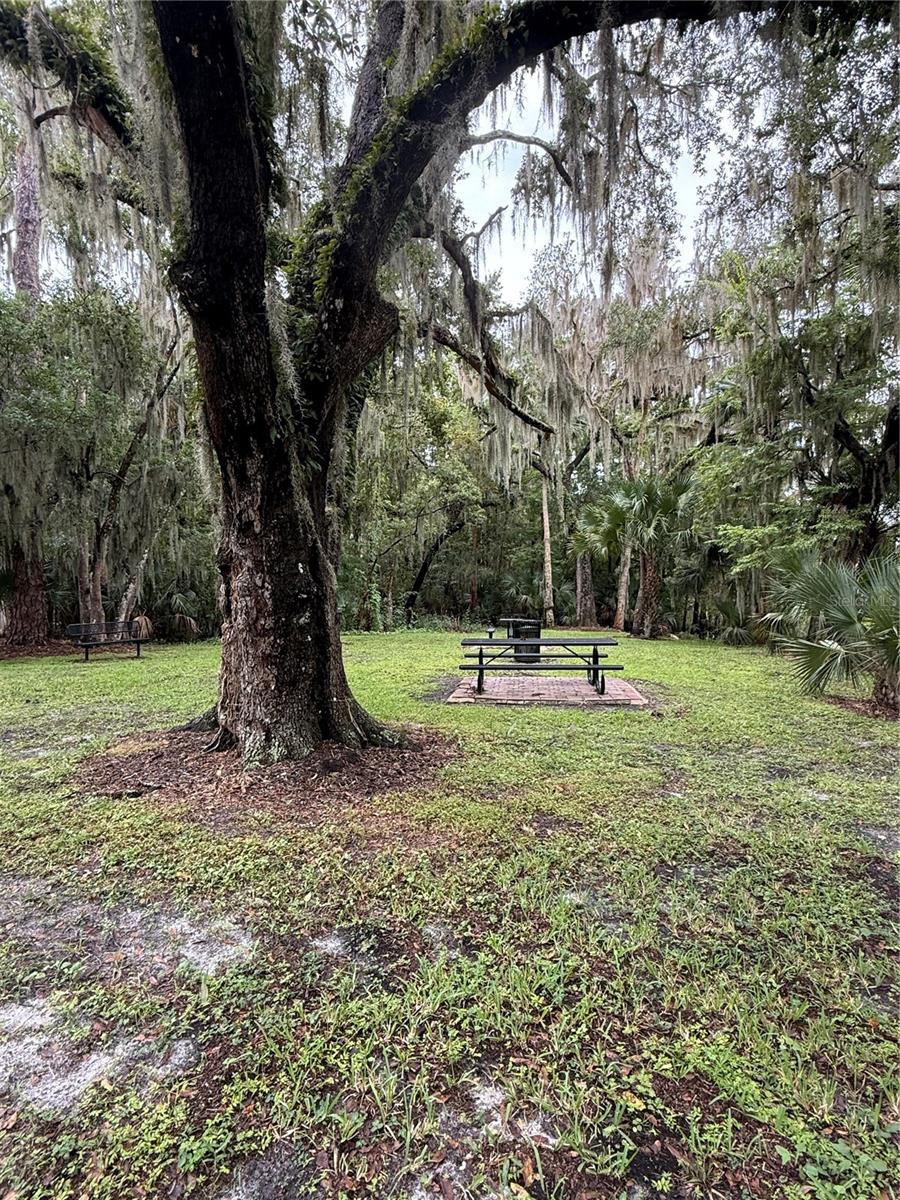 Riverside park pic-nic area & gazebo
