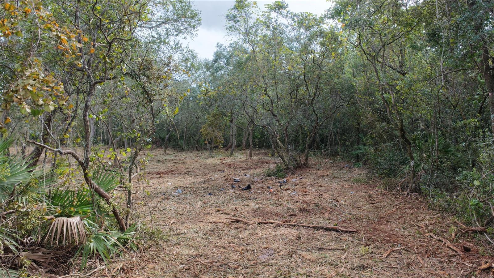 000 LAKE MACK DRIVE, Deland, FL 32720
