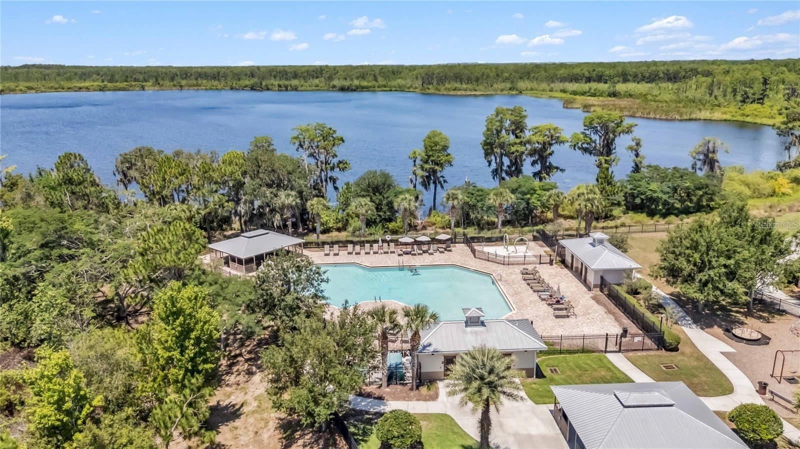 11963 VERMILLION AVENUE, Windermere, FL 34786