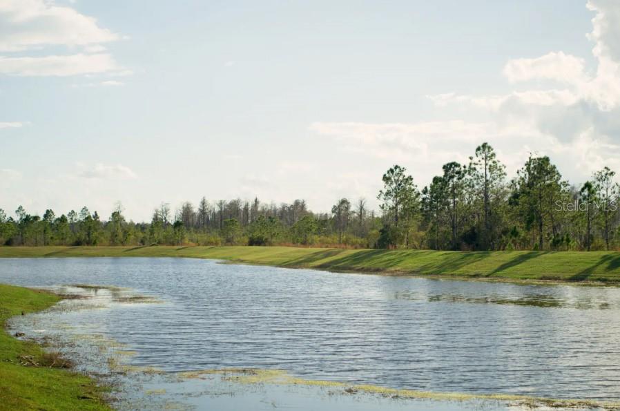 Scenic Pond View