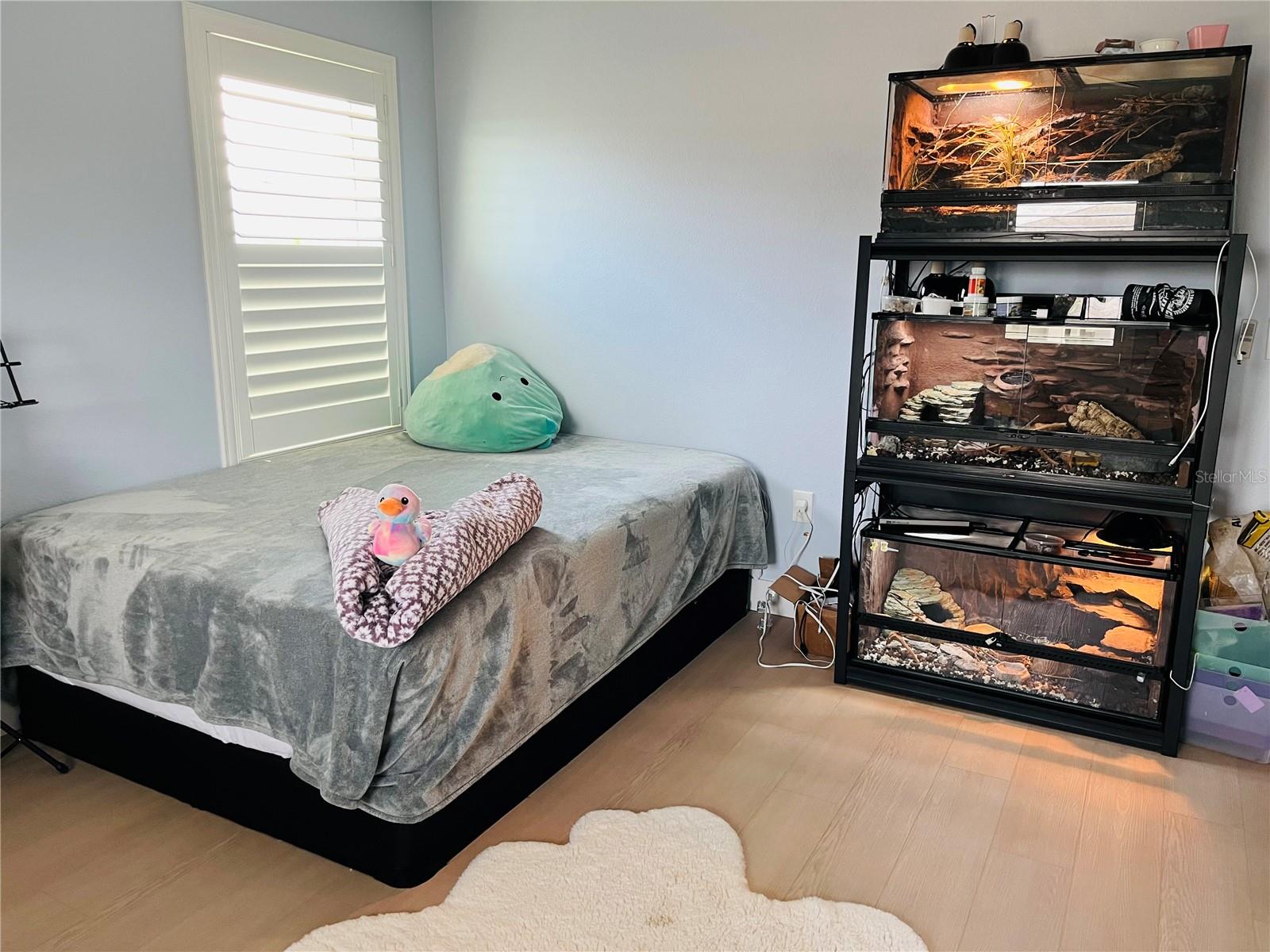 Bedroom 4, North View
