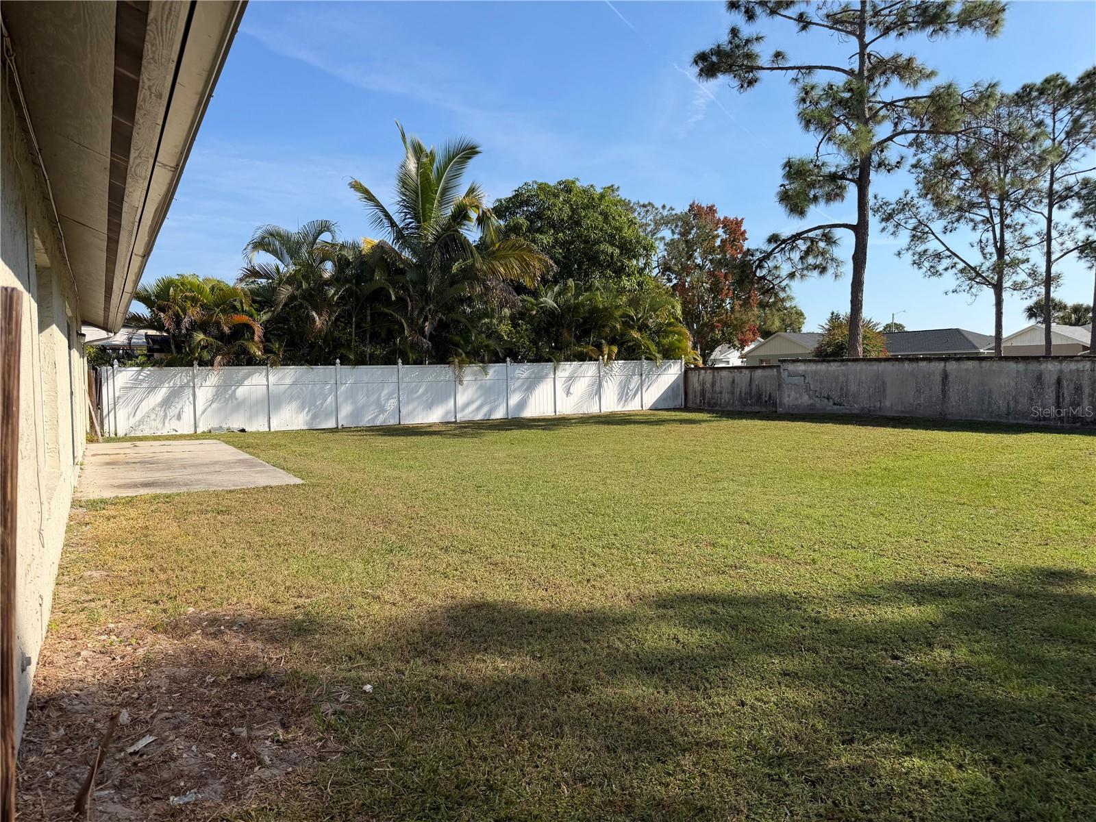 Backyard