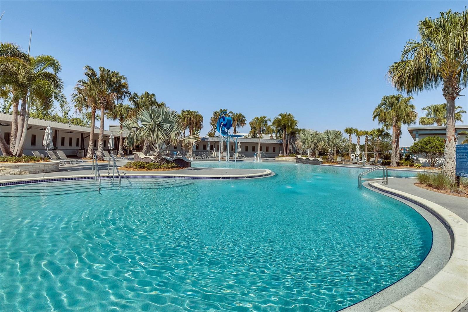 Laureate Park resort style pool with lounge deck and palm trees in Lake Nona.
