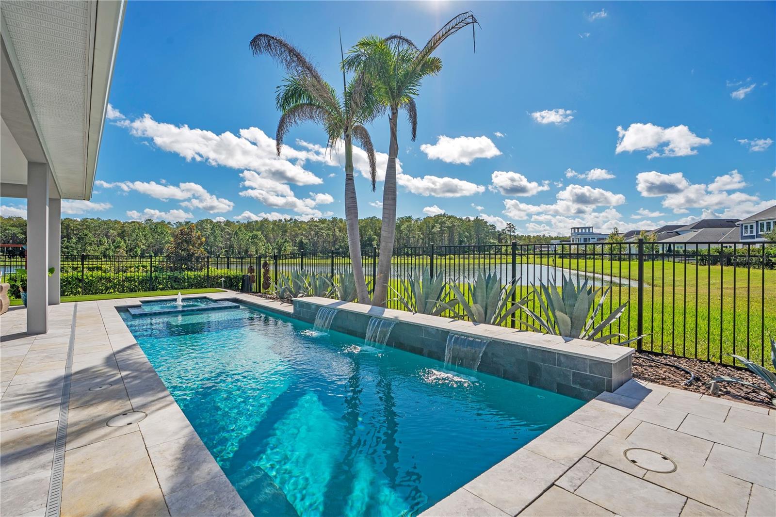 Private heated salt water pool framed by palms and a fenced yard with a water and conservation view. Lake Nona pool home living in Laureate Park, Orlando.