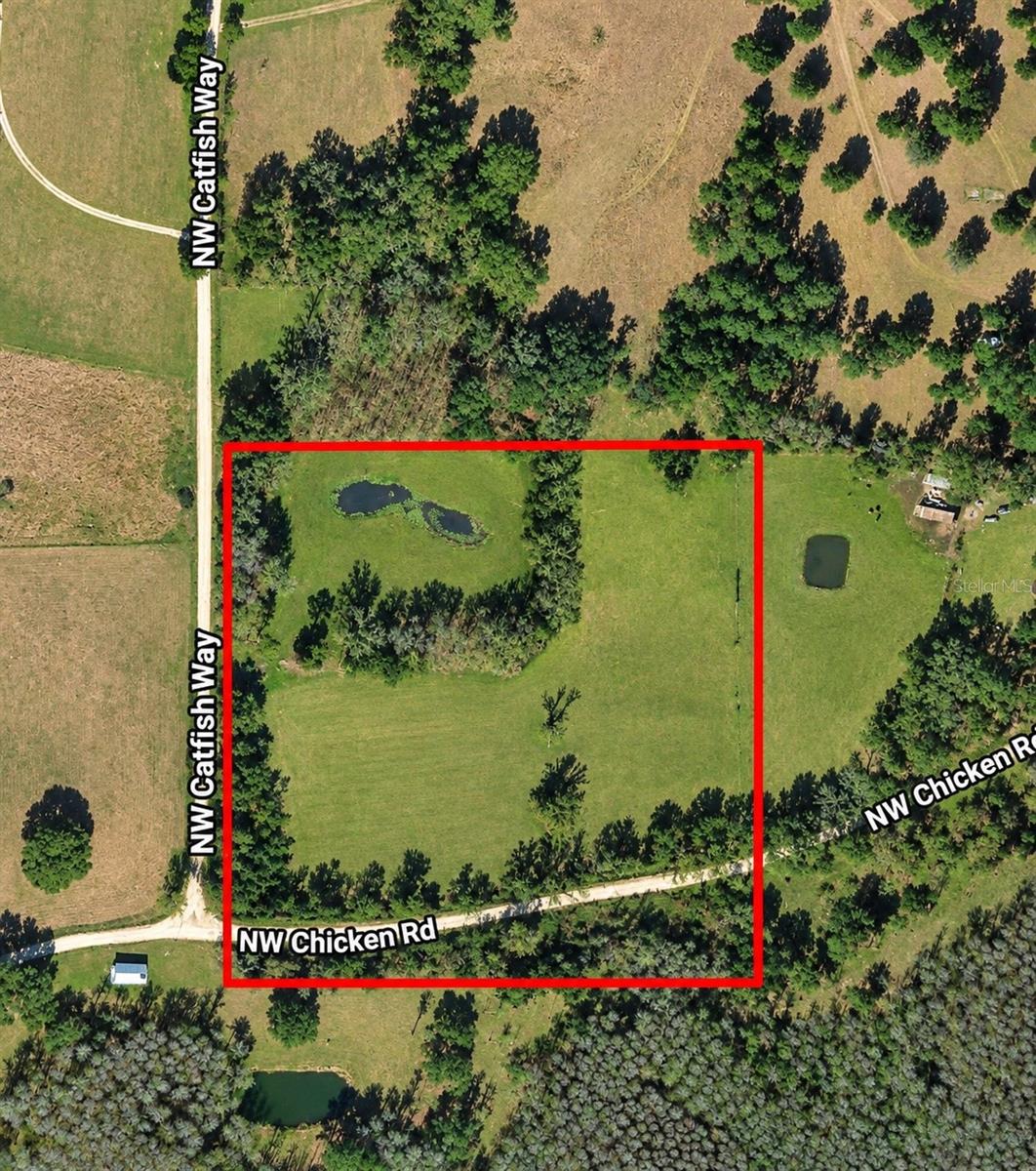 NW CHICKEN ROAD, Madison, FL 32340