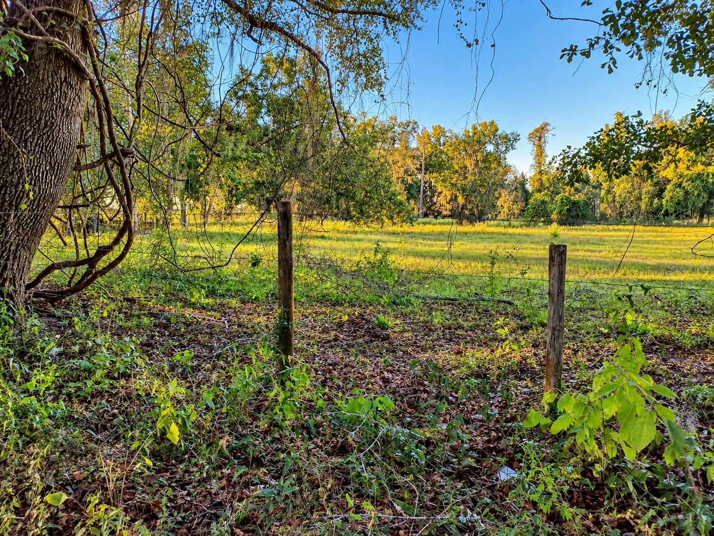 NW CHICKEN ROAD, Madison, FL 32340