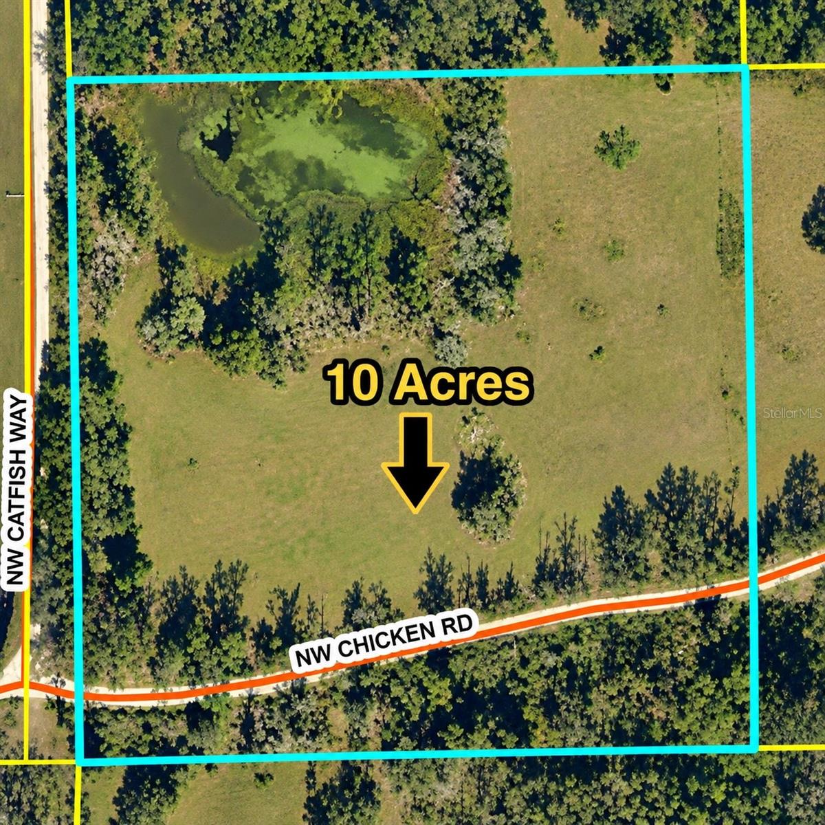 NW CHICKEN ROAD, Madison, FL 32340