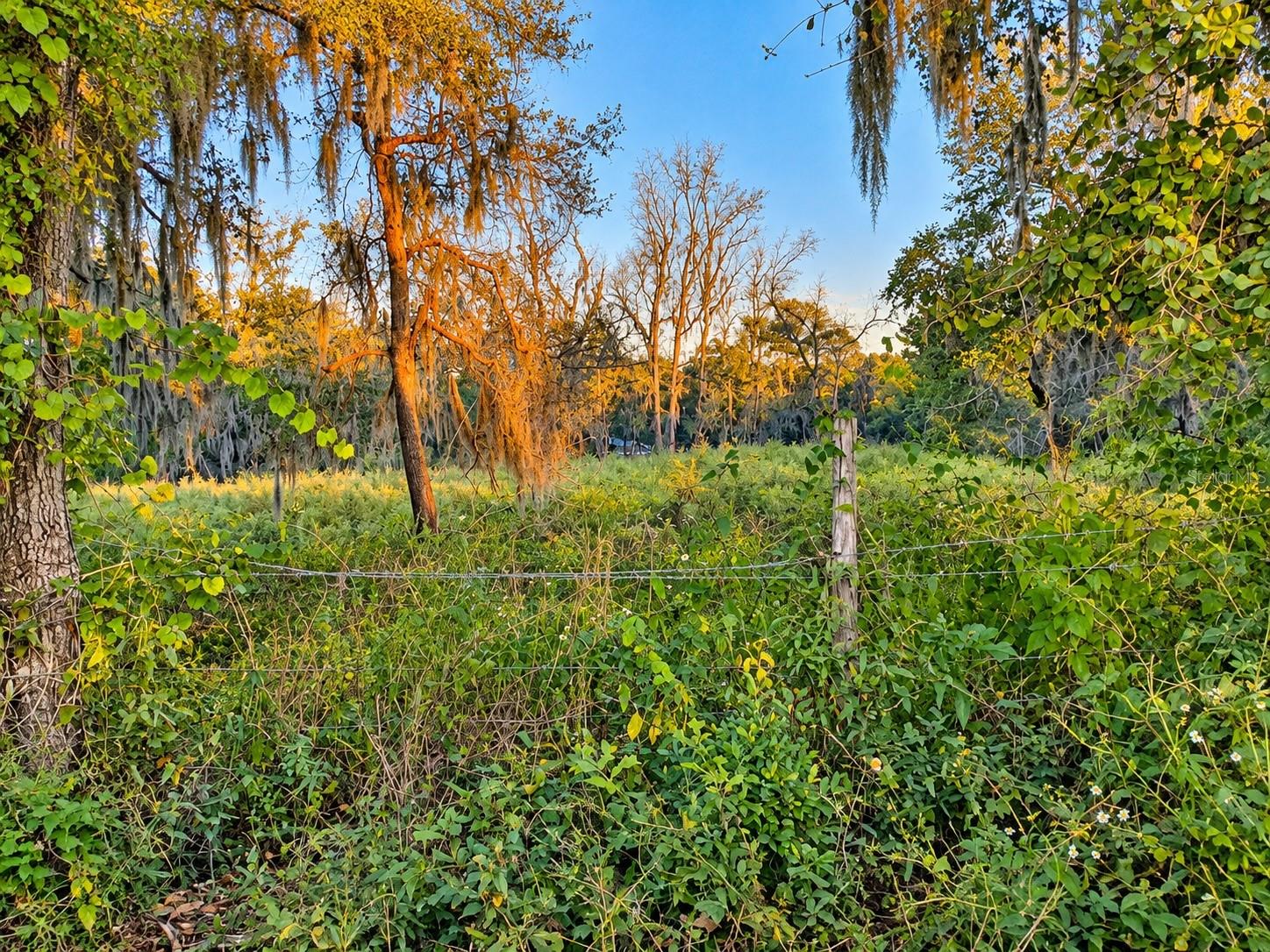 NW CHICKEN ROAD, Madison, FL 32340