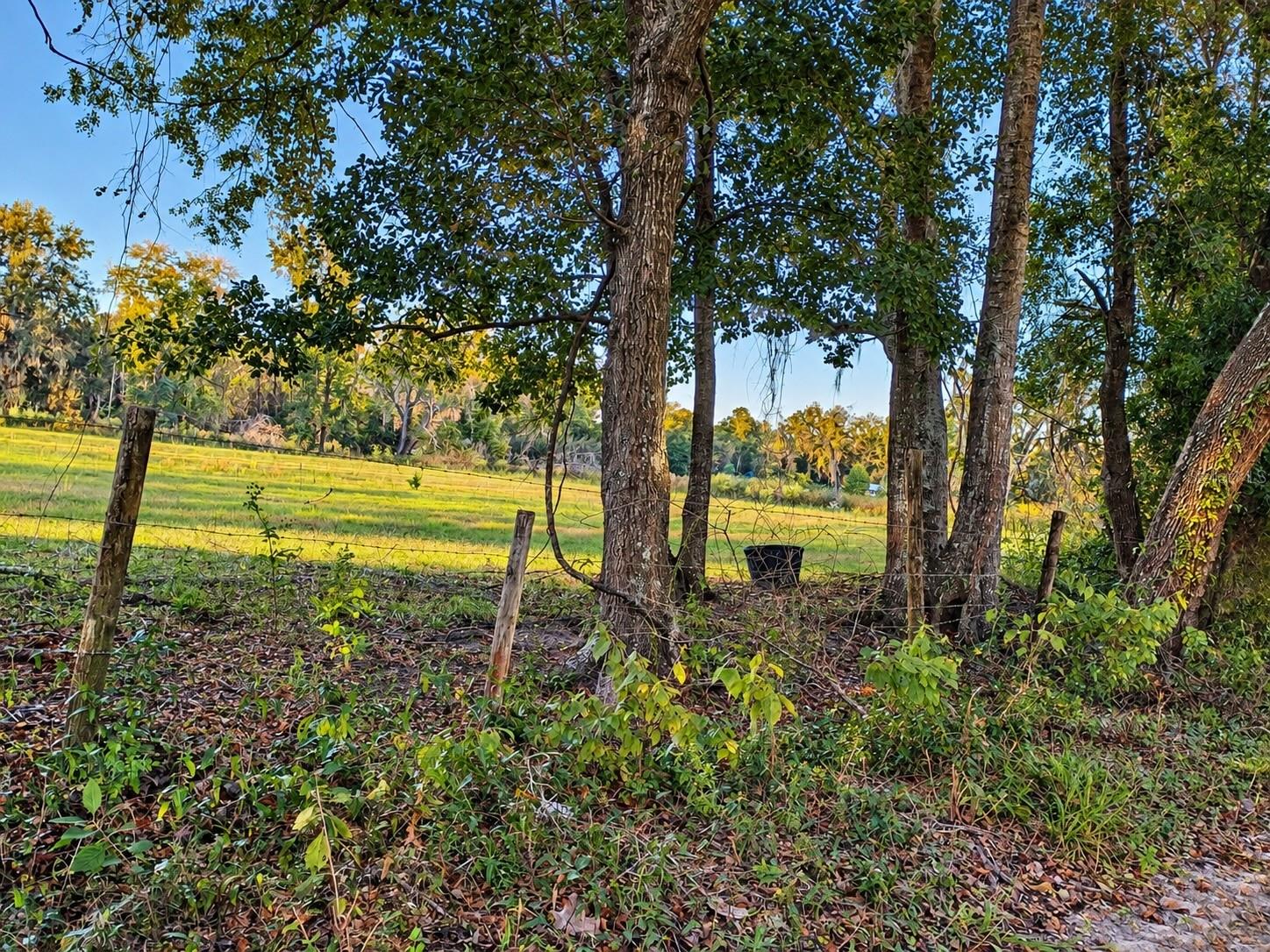 NW CHICKEN ROAD, Madison, FL 32340