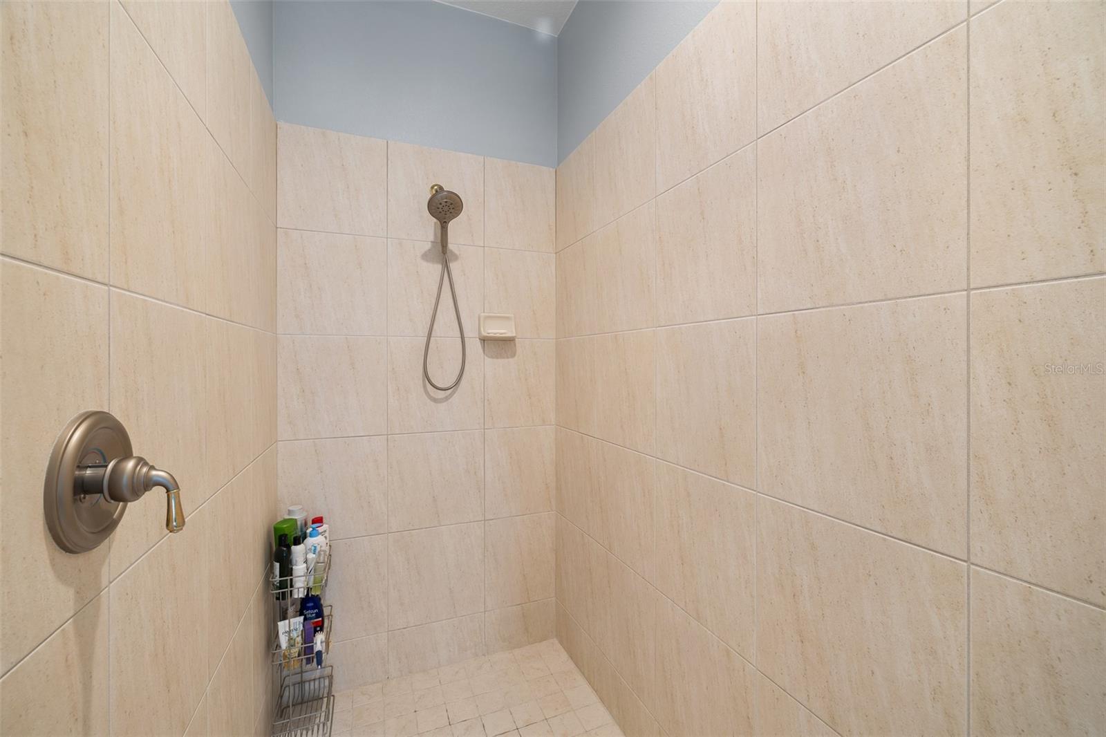 13618 LARSEN LANE, Winter Garden, FL 34787