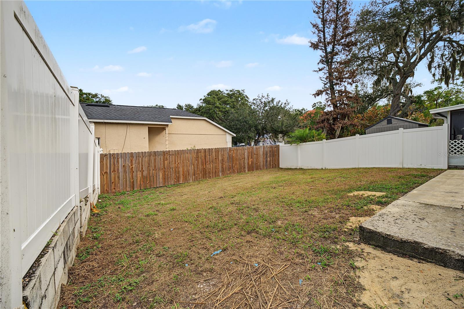 Backyard