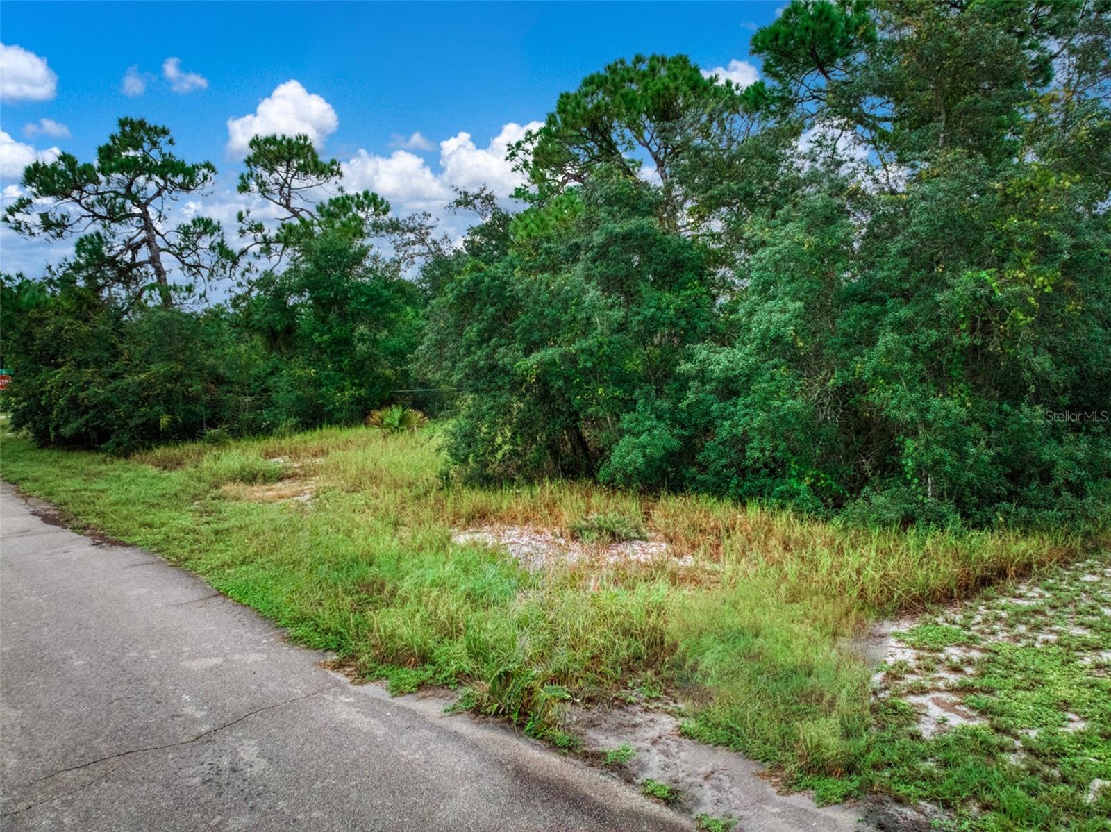 3065 OLEANDER DRIVE, Lake Placid, FL 33852