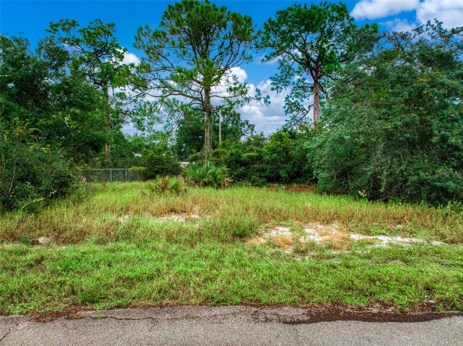 3065 OLEANDER DRIVE, Lake Placid, FL 33852