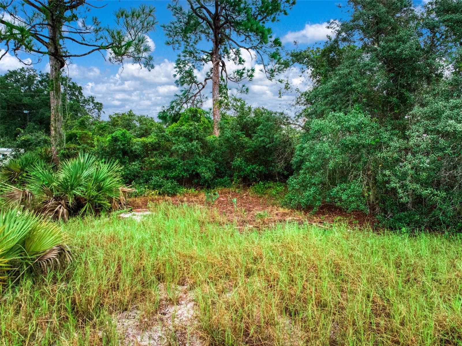 3065 OLEANDER DRIVE, Lake Placid, FL 33852