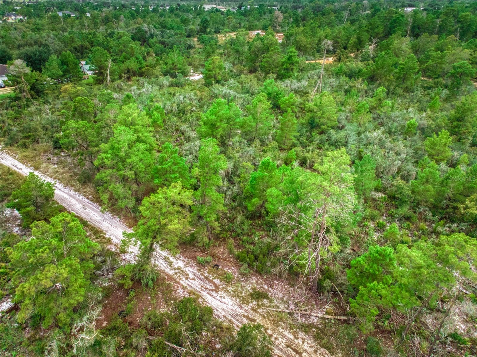 1222 SANDLEWOOD STREET, Lake Placid, FL 33852
