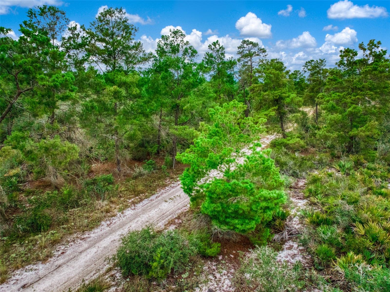 1222 SANDLEWOOD STREET, Lake Placid, FL 33852