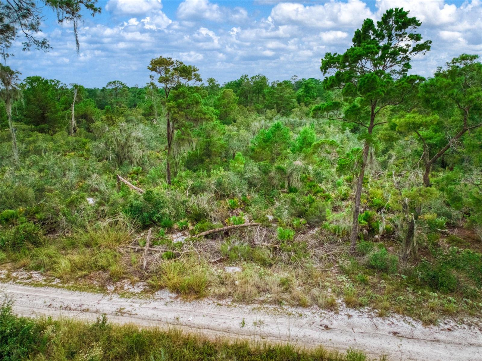 1222 SANDLEWOOD STREET, Lake Placid, FL 33852