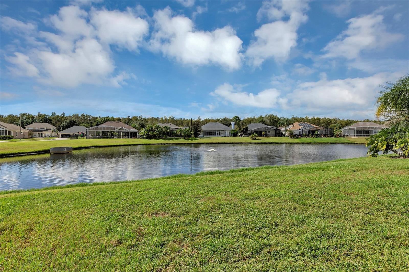 Waterfront View