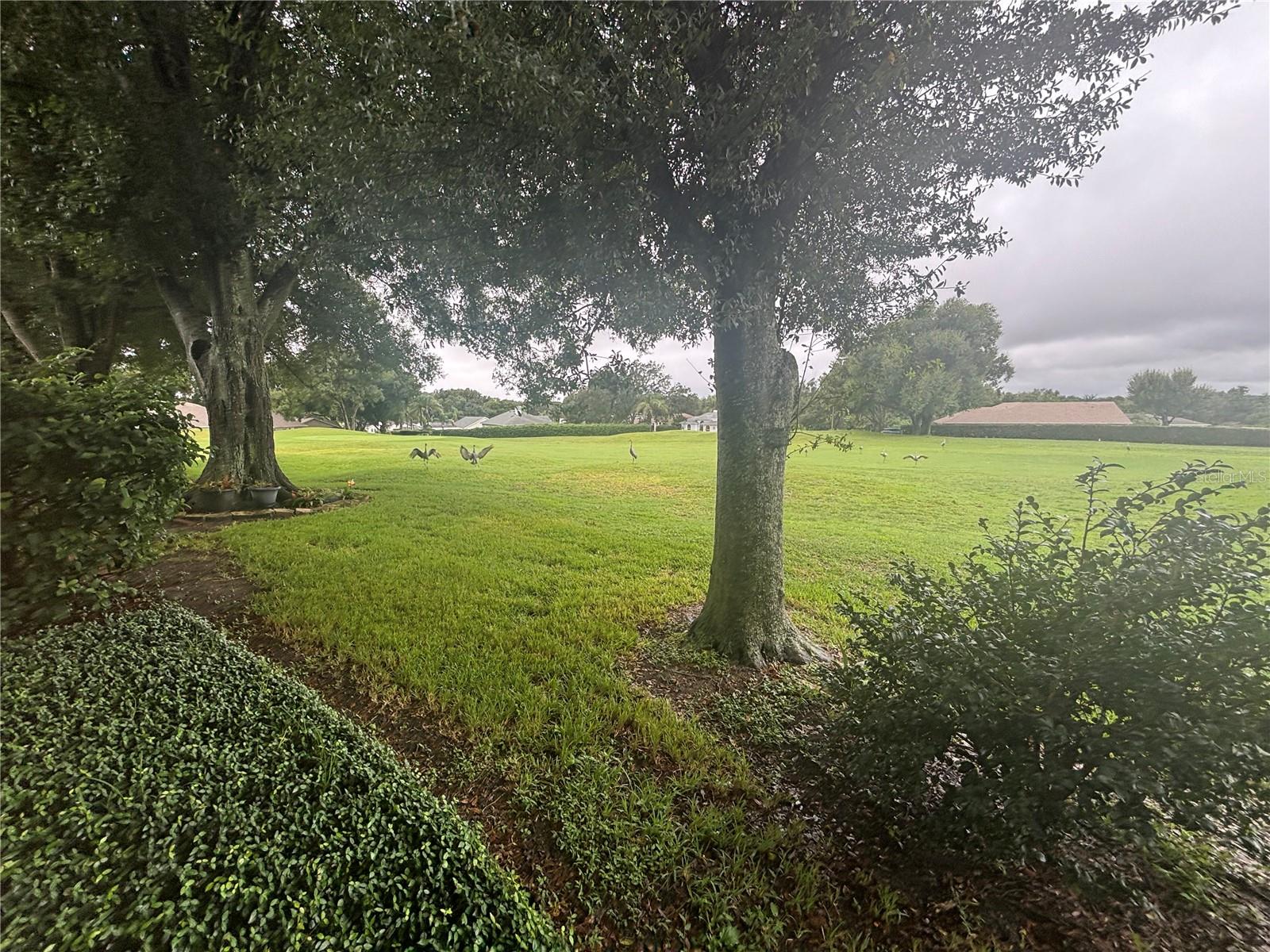 8815 VILLAGE GREEN BOULEVARD, Clermont, FL 34711