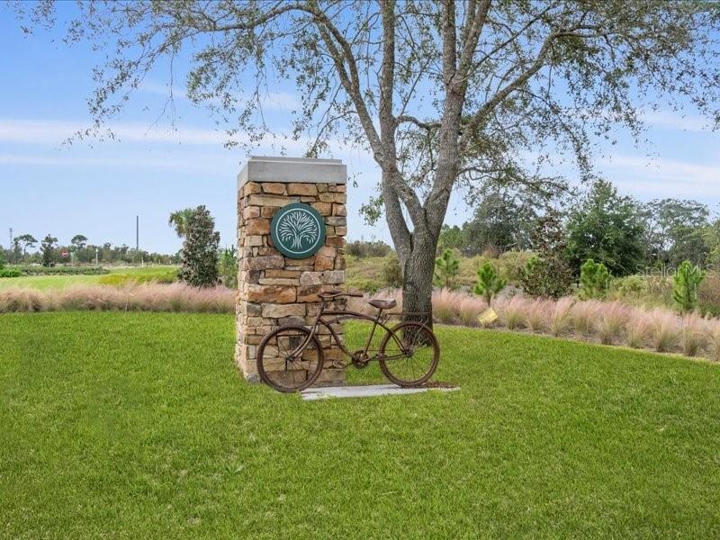 Celebration Entrance