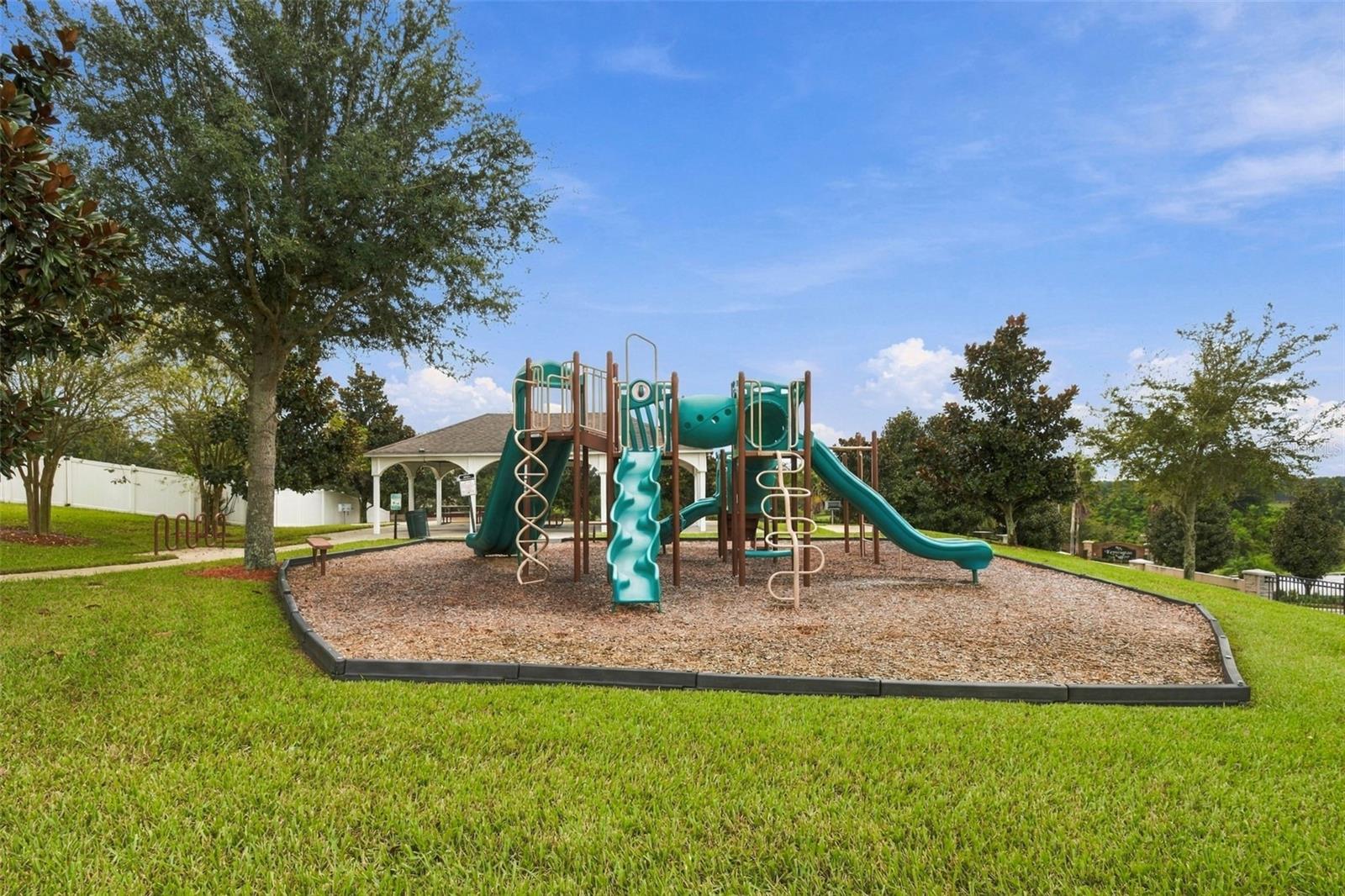 1135 GARRETT GILLIAM DRIVE, Ocoee, FL 34761