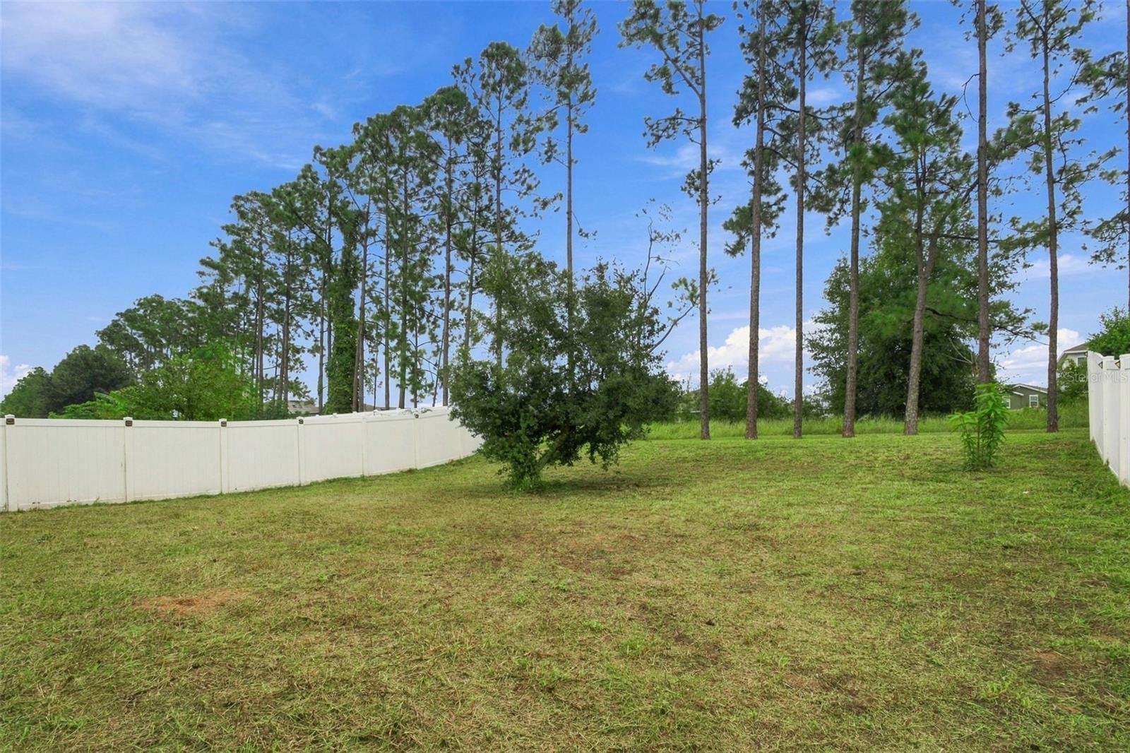 1135 GARRETT GILLIAM DRIVE, Ocoee, FL 34761