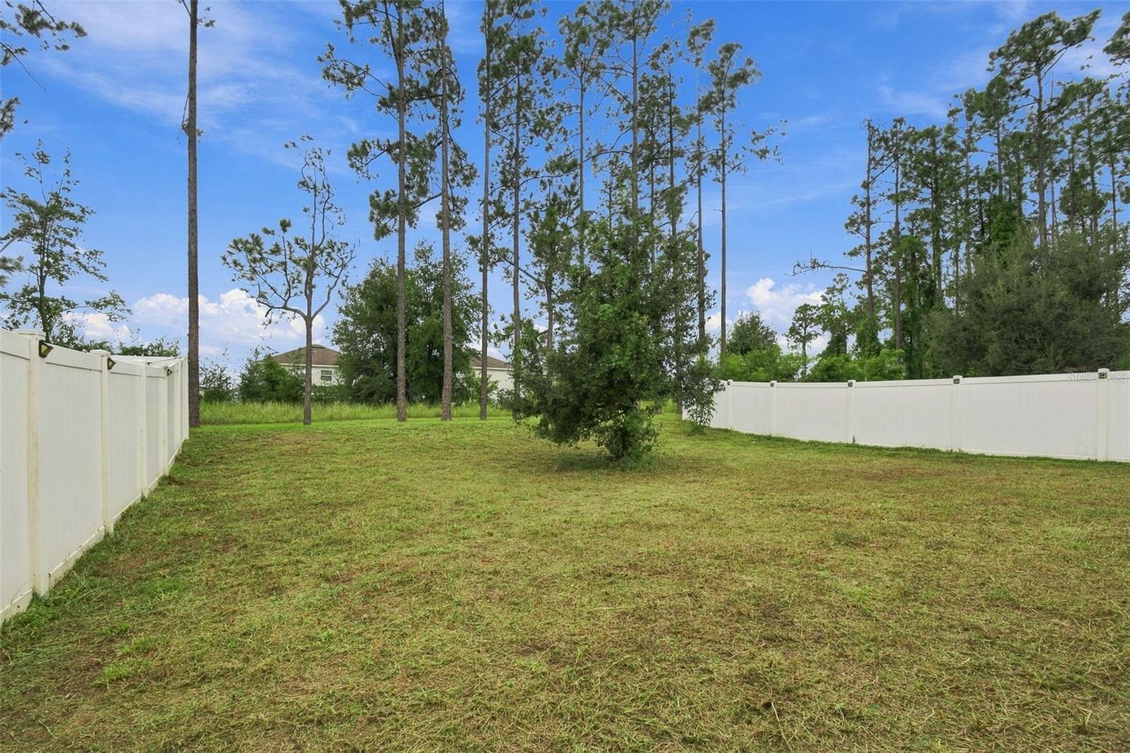 1135 GARRETT GILLIAM DRIVE, Ocoee, FL 34761