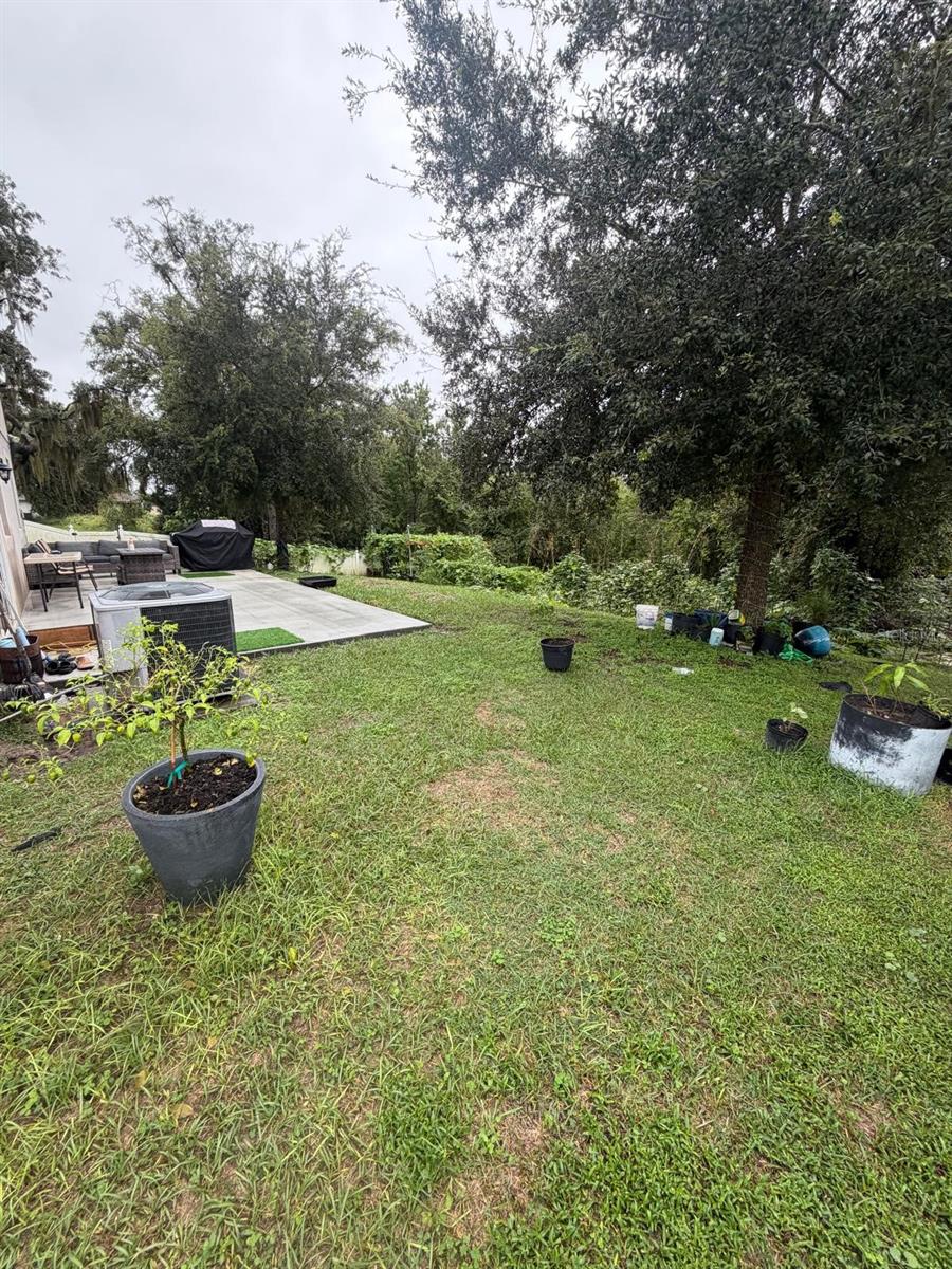 15549 GEMINI DRIVE, Mascotte, FL 34753