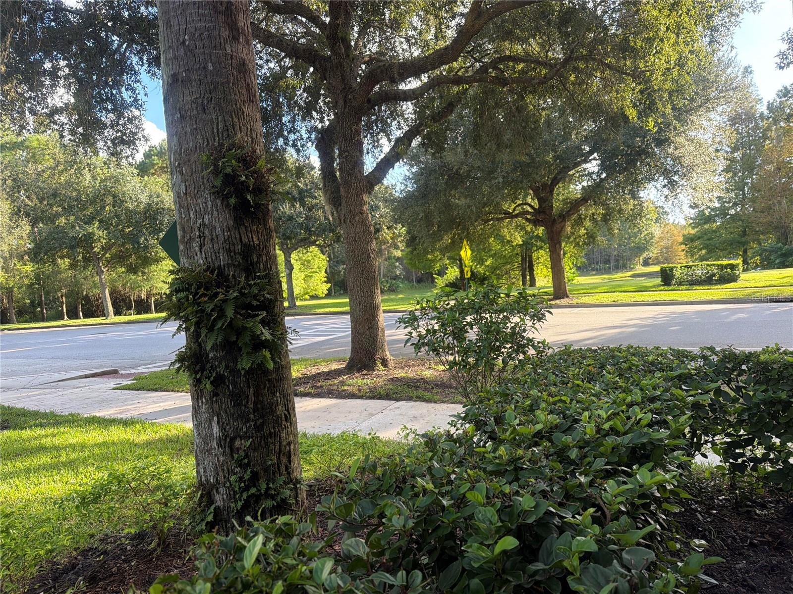 1401 CELEBRATION AVENUE, #103, Kissimmee, FL 34747