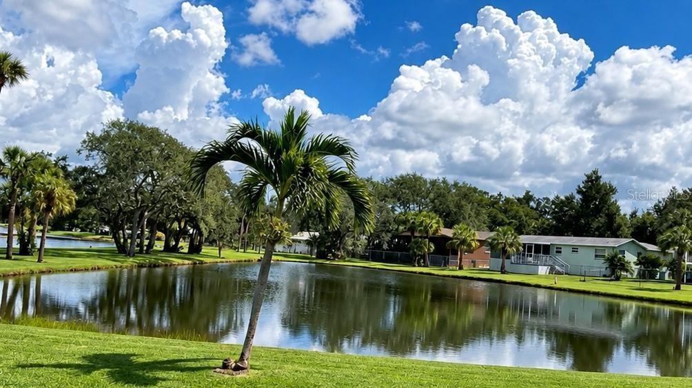 Lake rear view - virtually enhanced