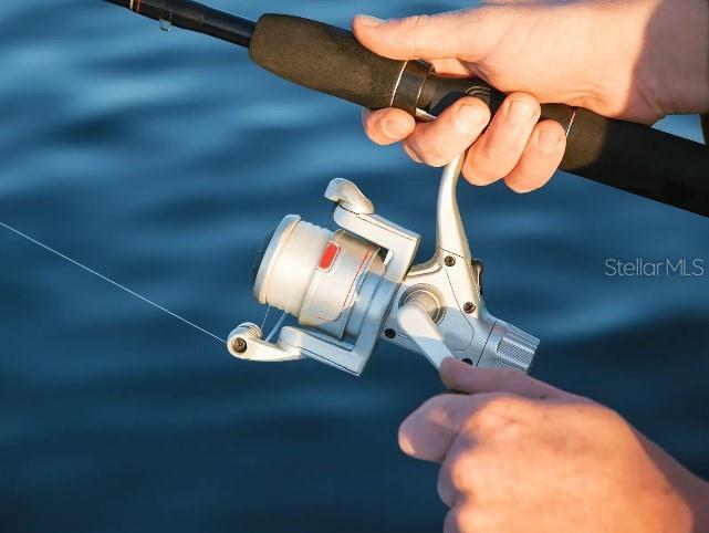 So many activities at your fingertips!