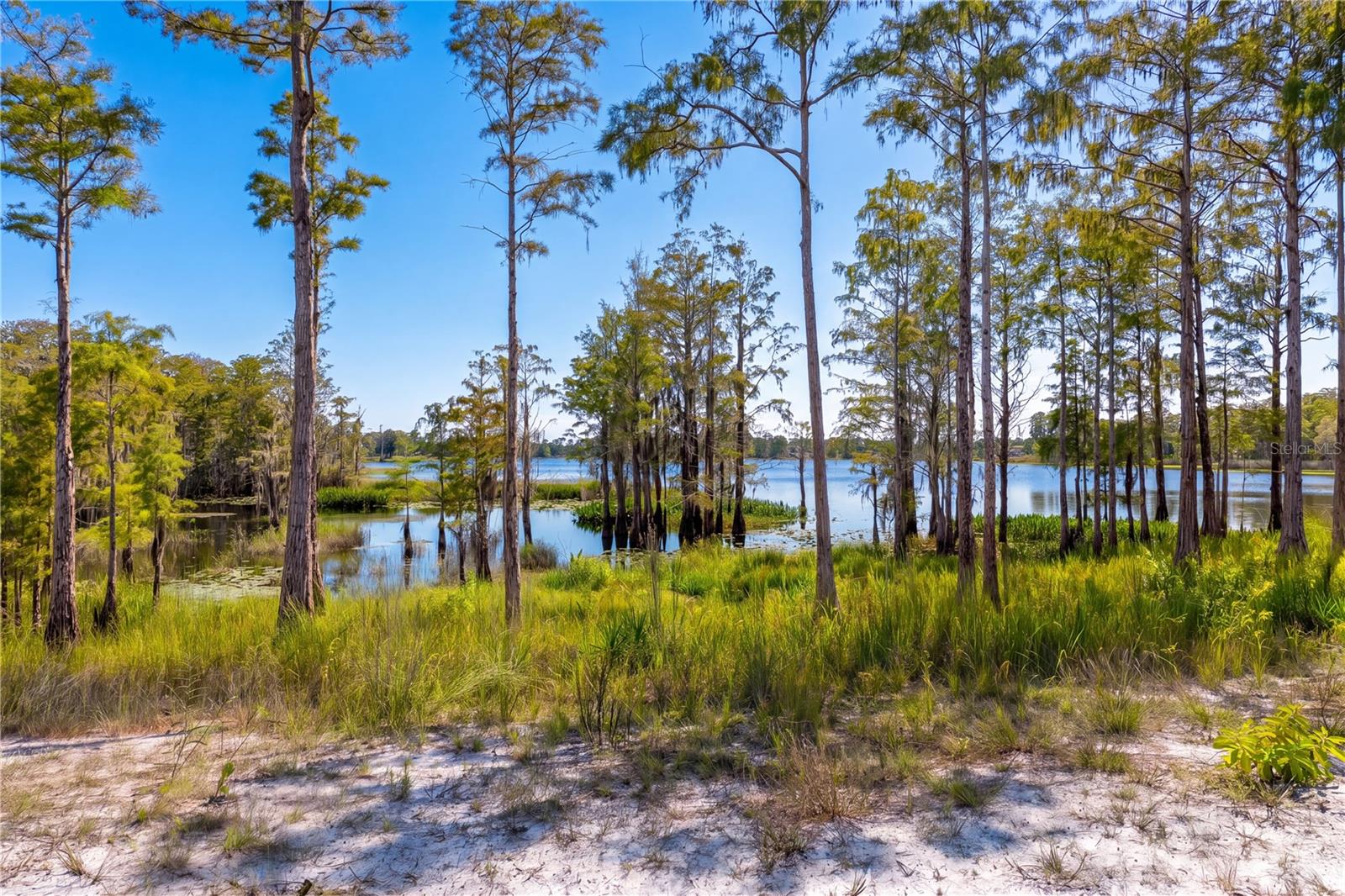 468 BLACK LAKE ROAD, Osteen, FL 32764