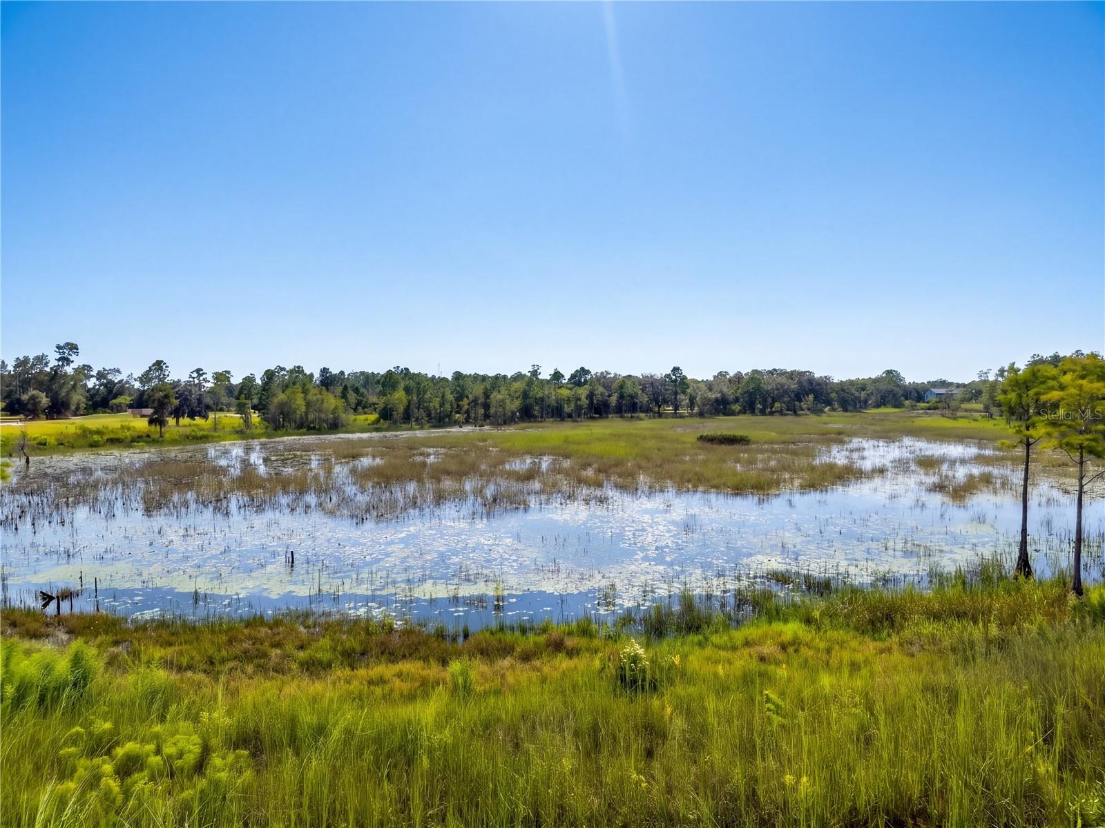 468 BLACK LAKE ROAD, Osteen, FL 32764