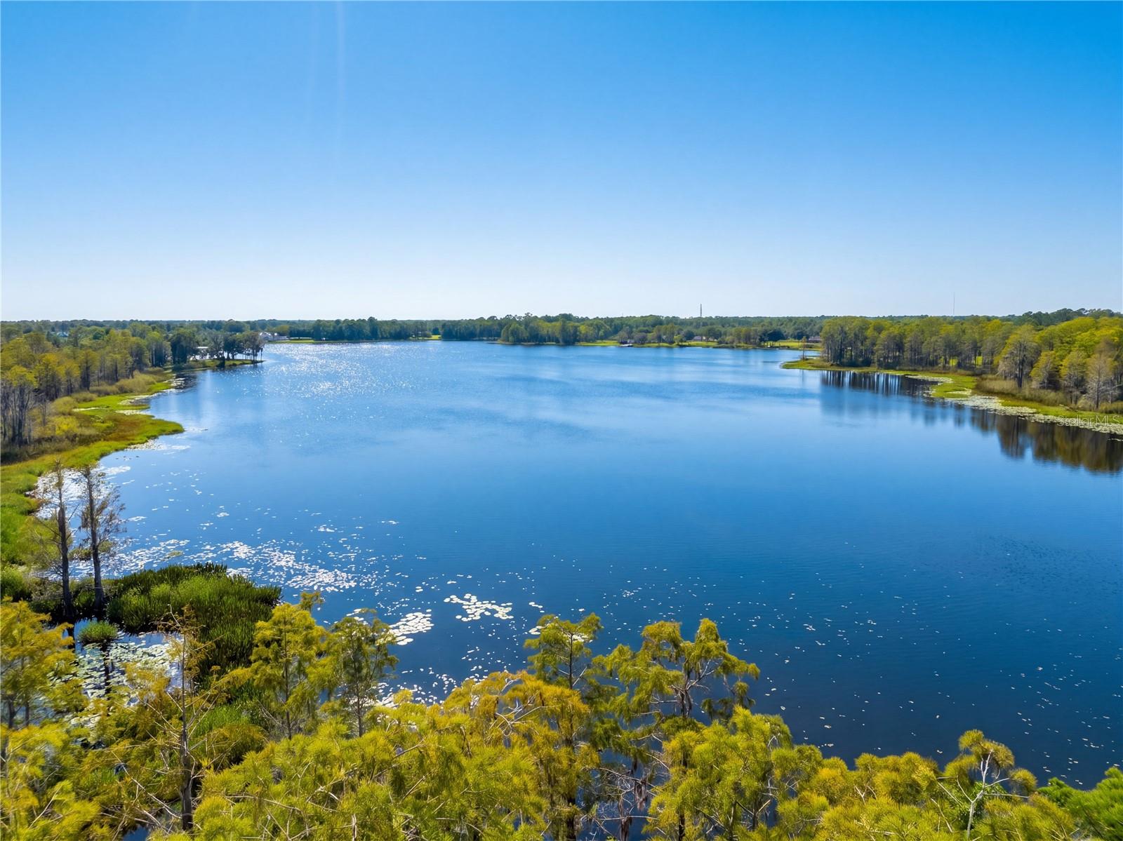 468 BLACK LAKE ROAD, Osteen, FL 32764
