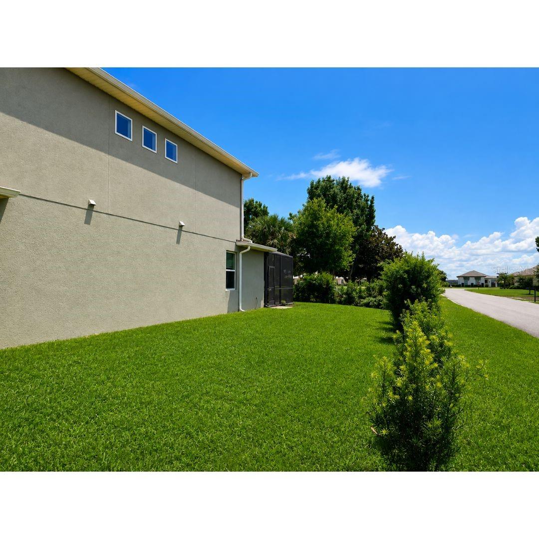 Right side yard from the front