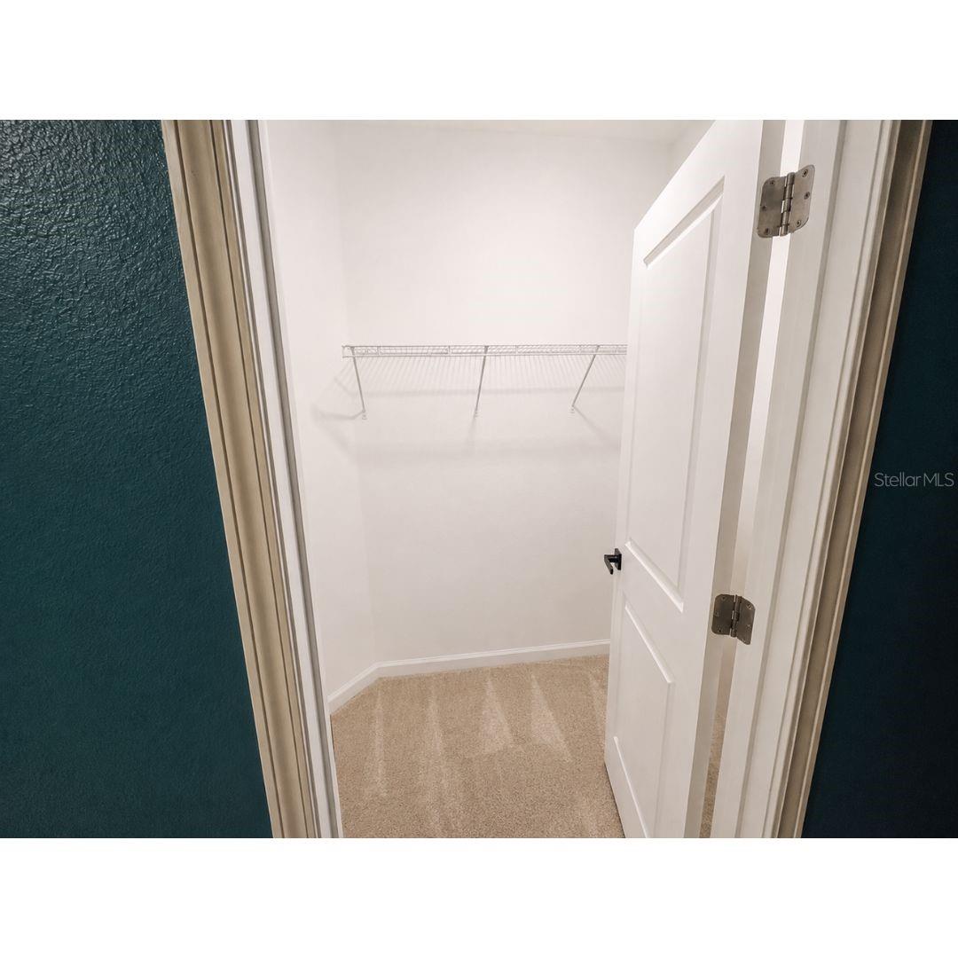 Owners closet 1
