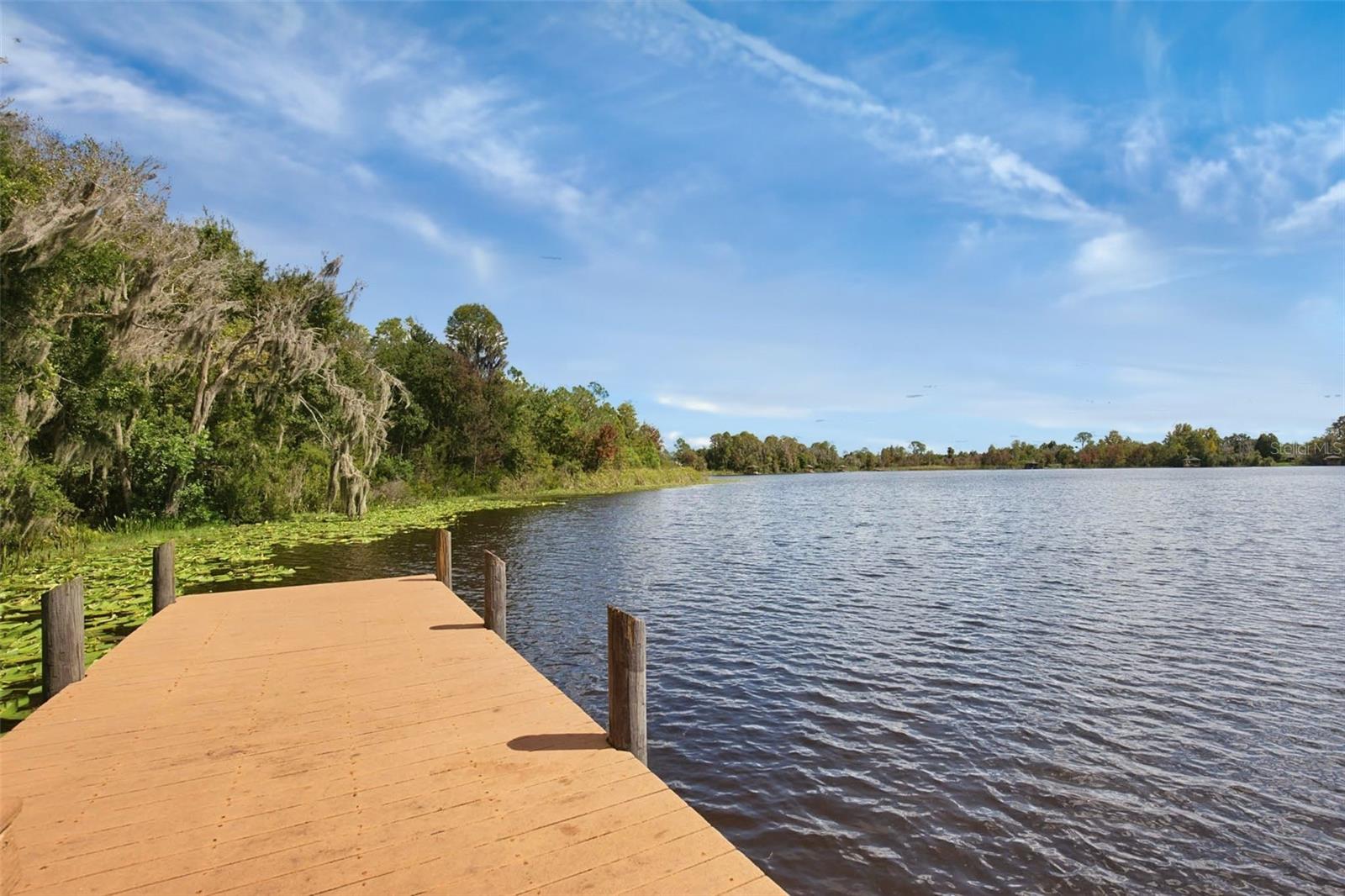 7627 BLUE SPRING DRIVE, Land O Lakes, FL 34637