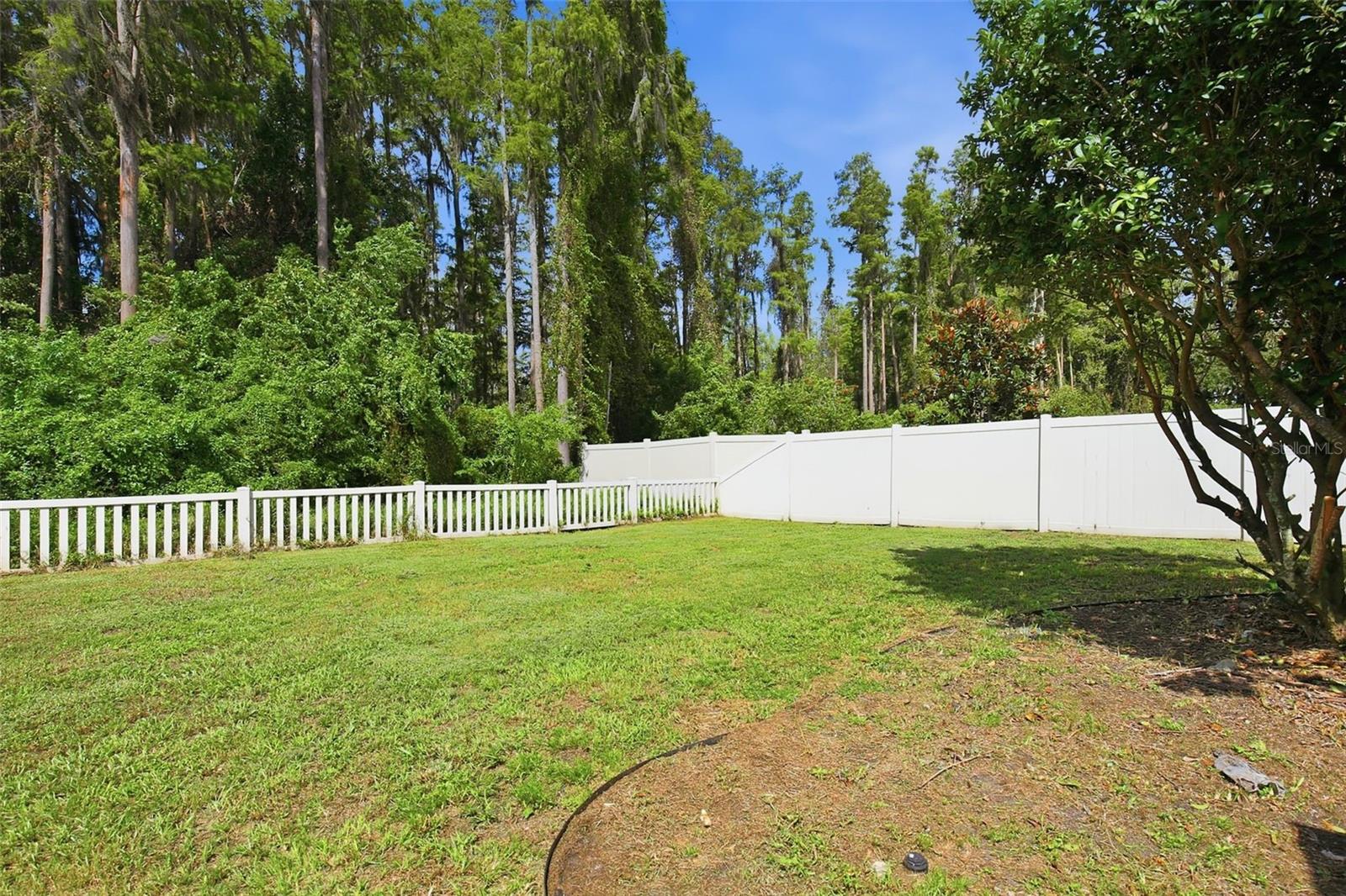7627 BLUE SPRING DRIVE, Land O Lakes, FL 34637
