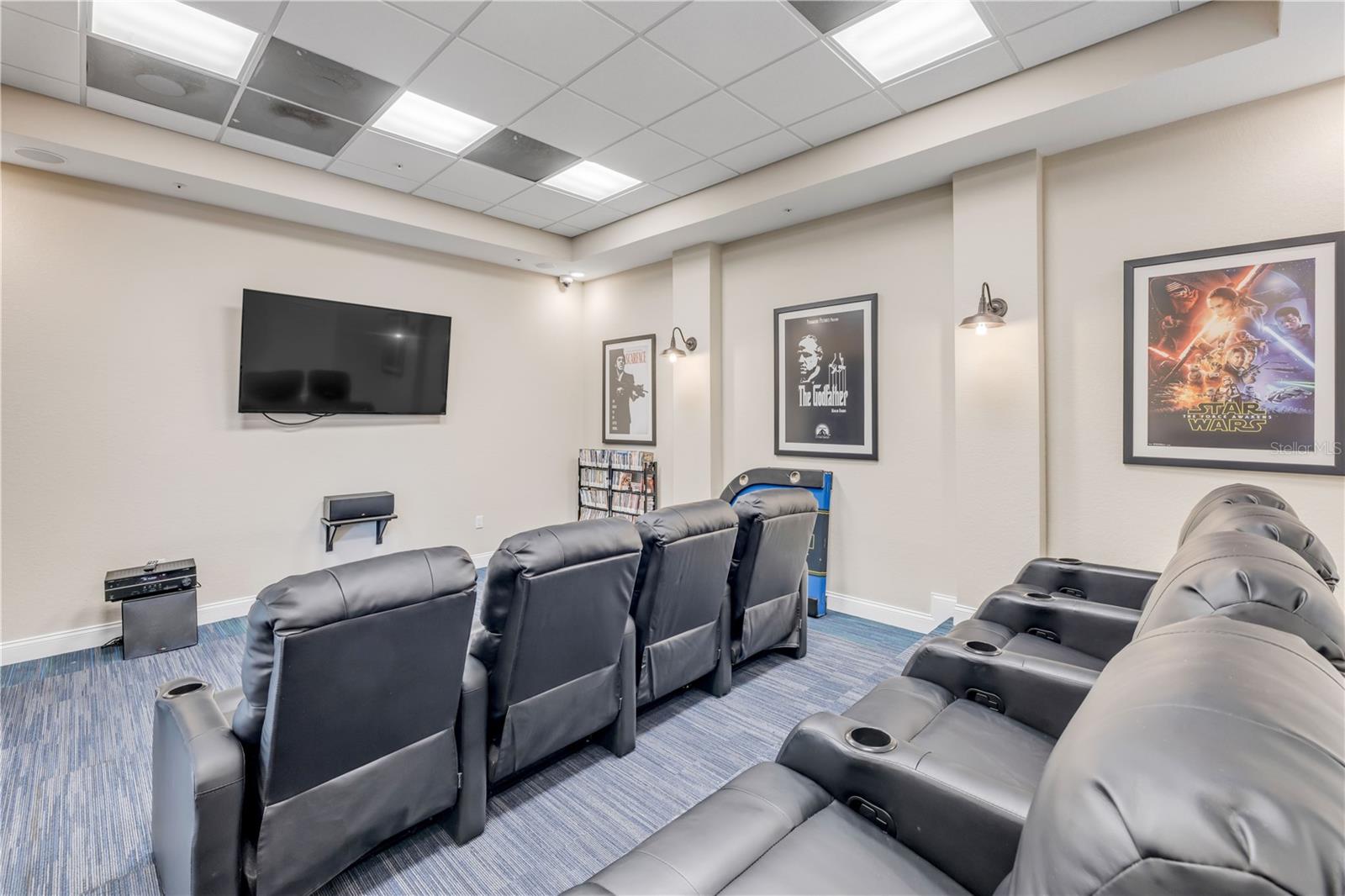 Theatre Room