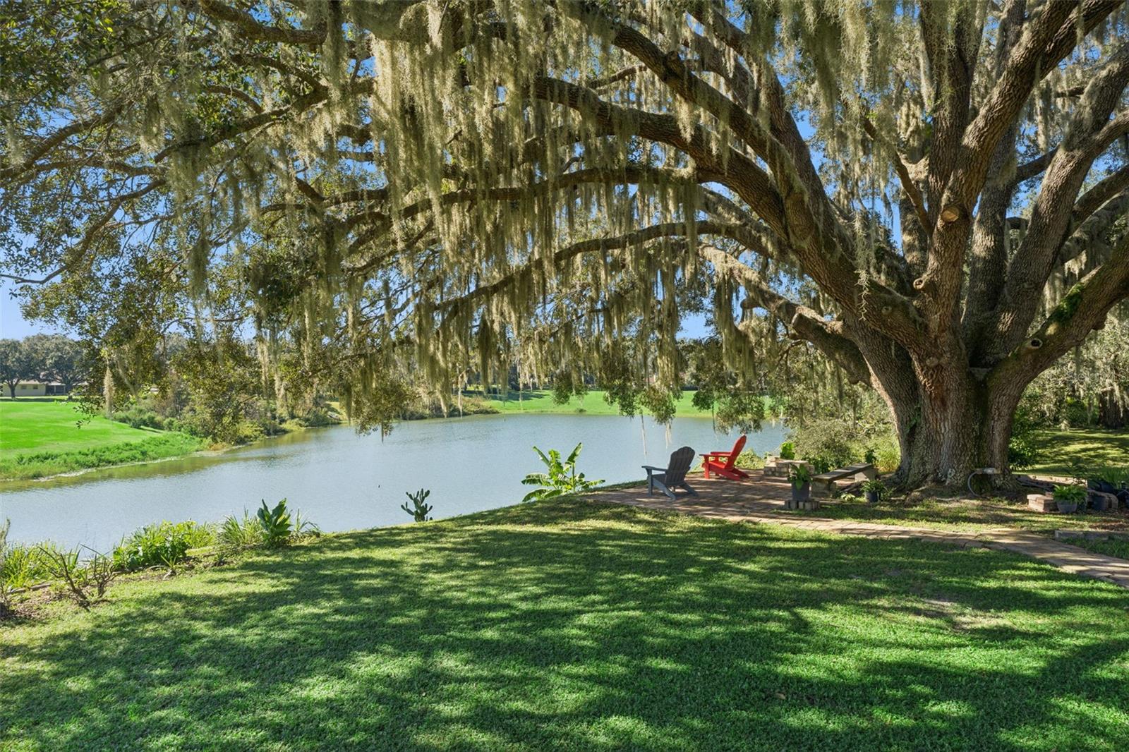 Enjoy serene mornings with coffee in hand under your oak tree