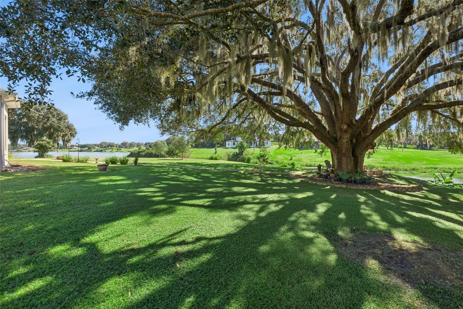 Extensive pavers were added along with a sitting area under this water side oak tree